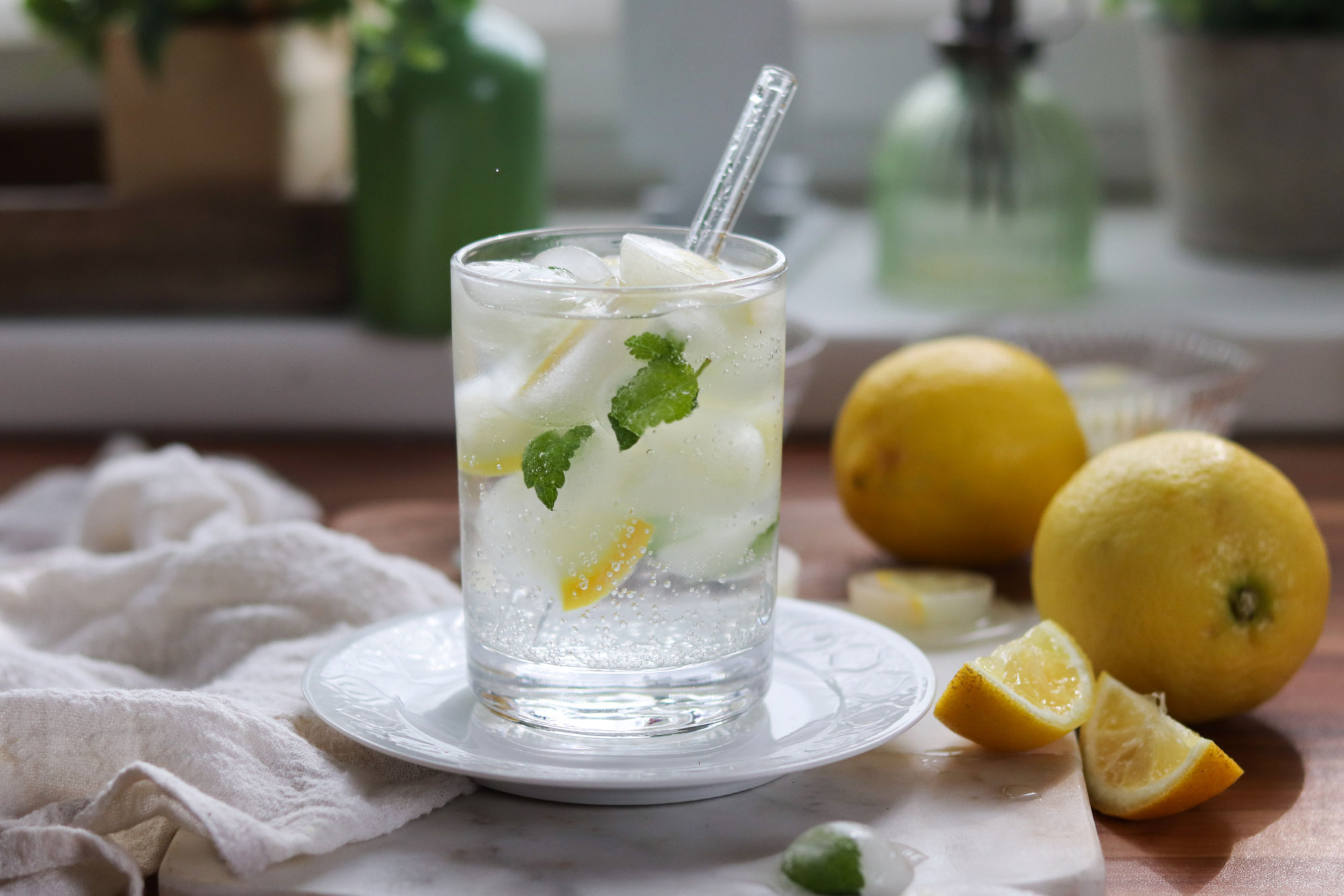Zitronen- und Minzeiswürfel