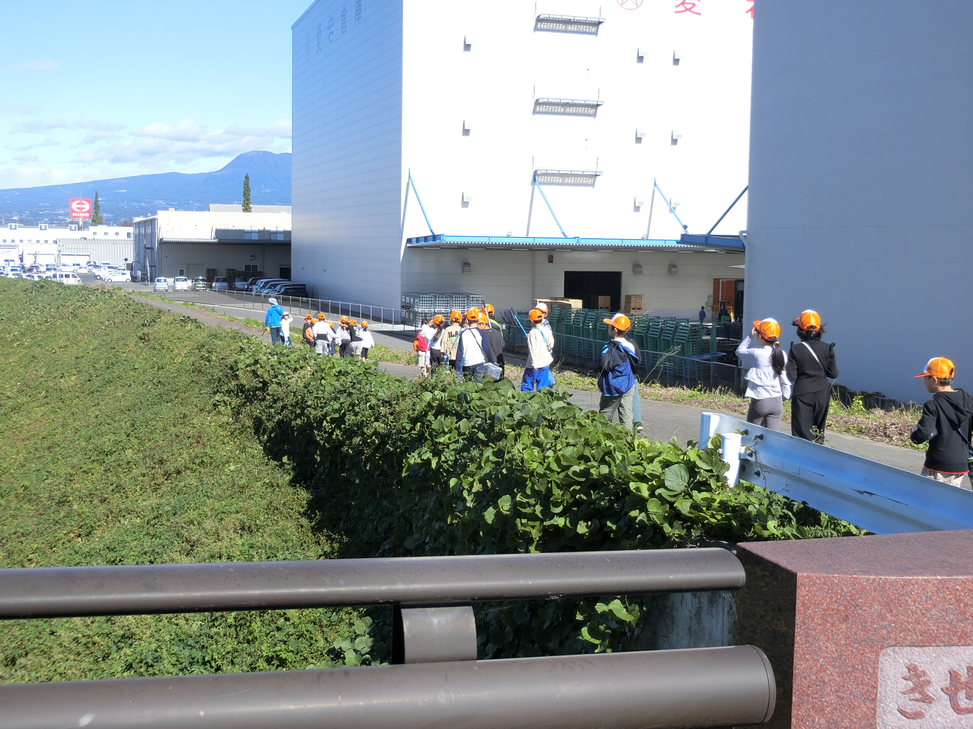 県民の日一日保育～笂井公園・土手で遊ぼう！