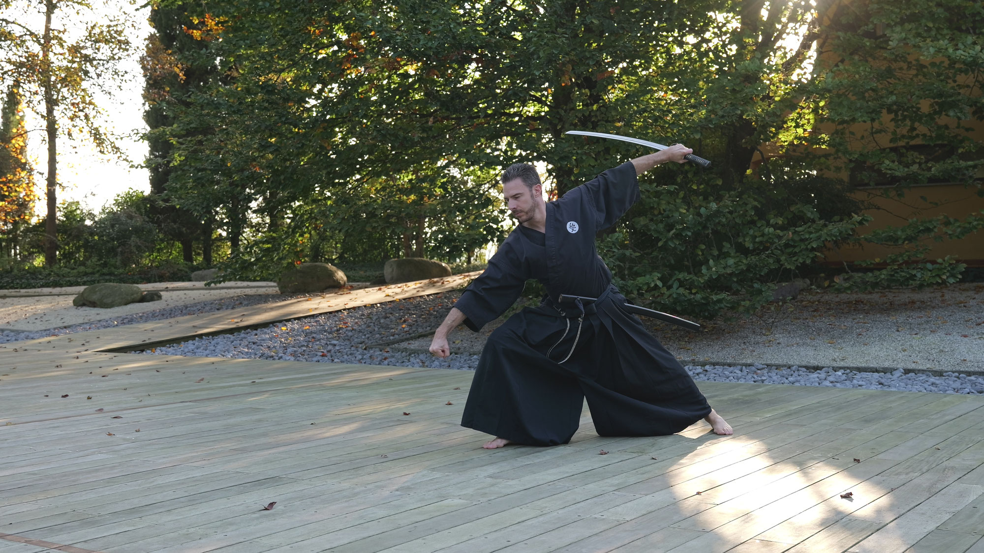 Il ruolo dell'attenzione nell' Ai Jutsu