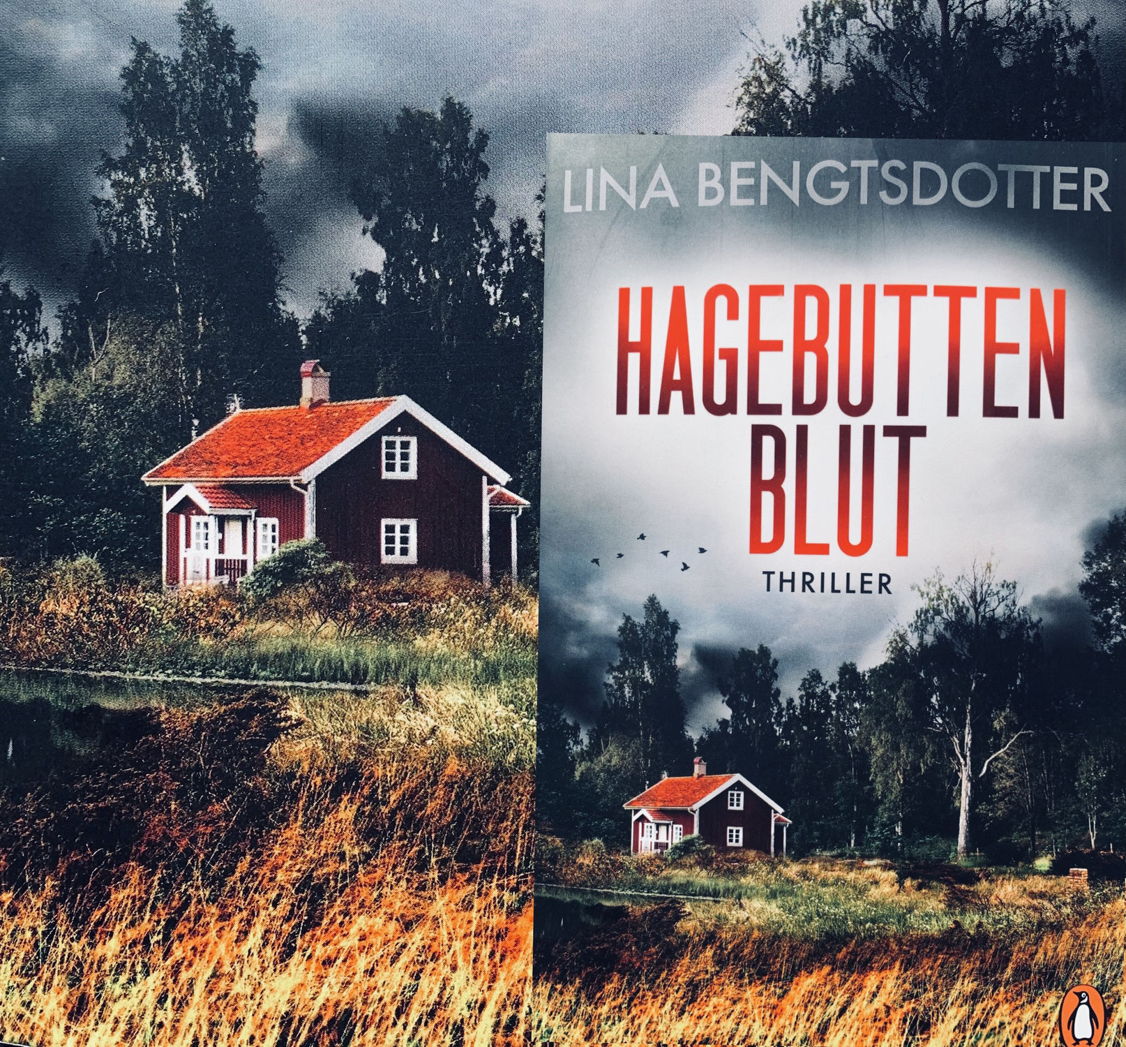 Lina Bengtsdotter: Hagebuttenblut