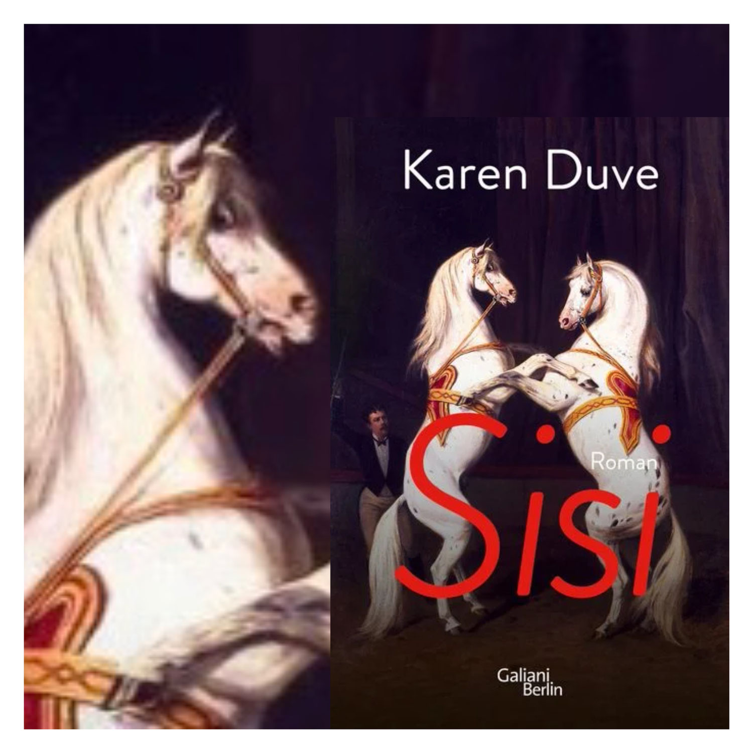 Karen Duve: Sisi