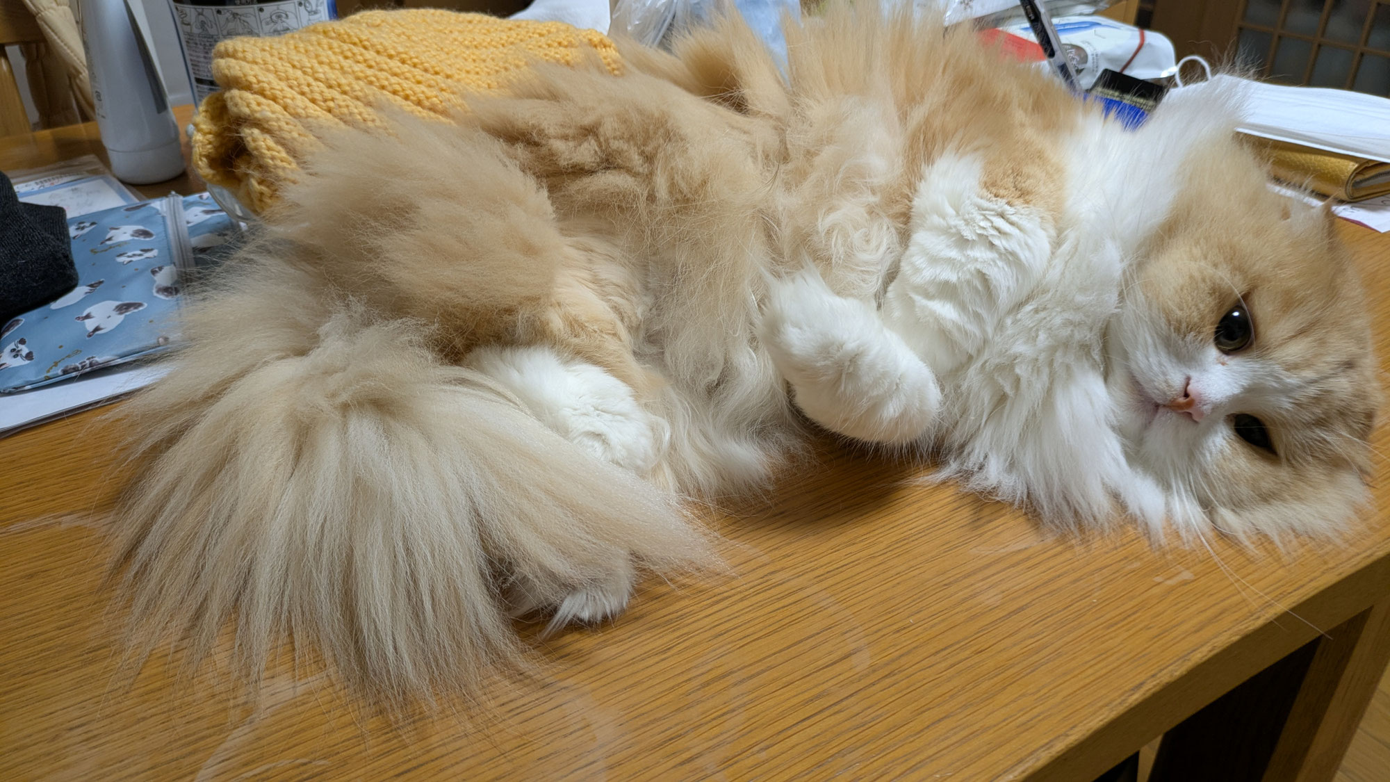 やっと開通したのかにや～