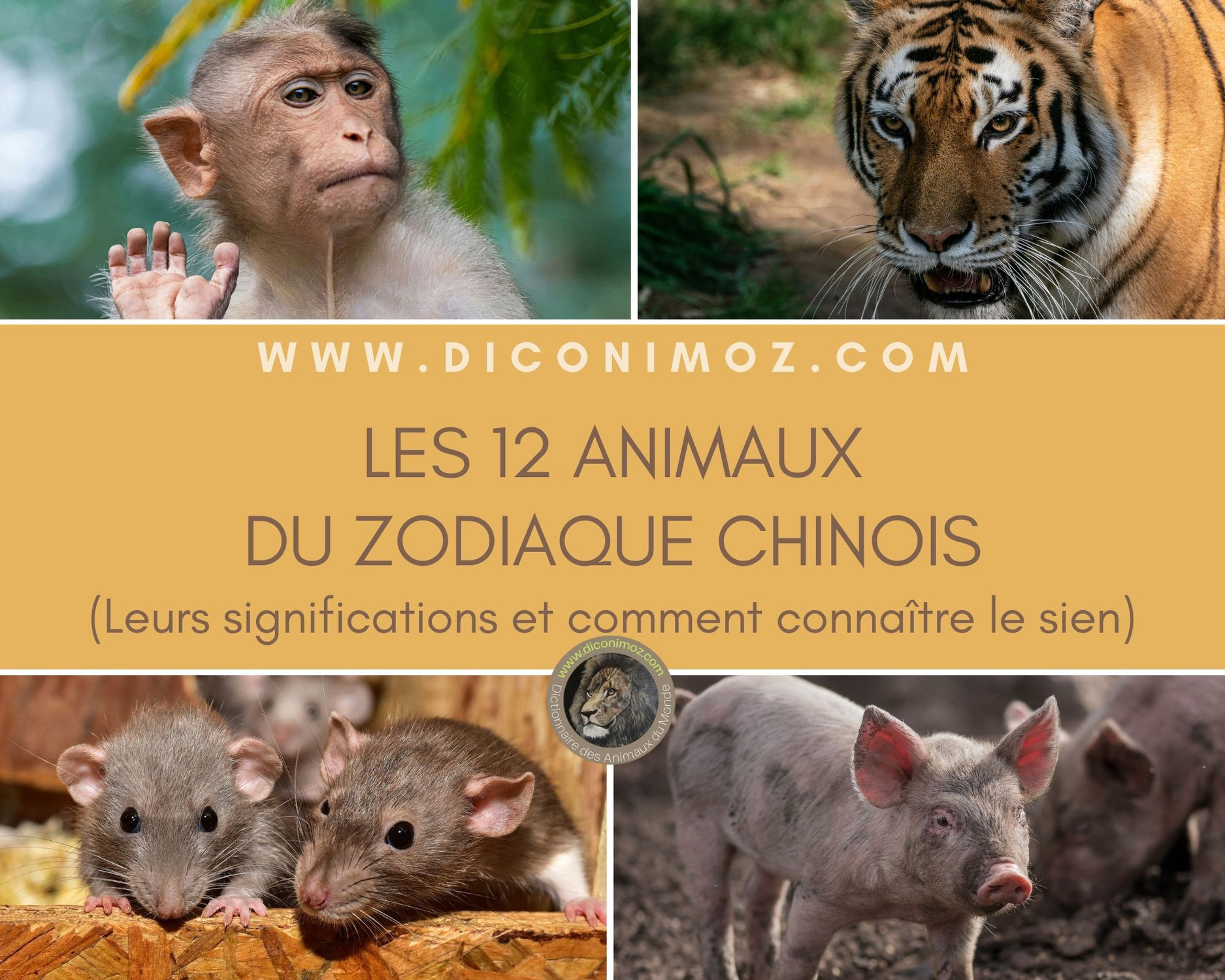 Les 12 animaux du zodiaque chinois : leurs significations et comment trouver votre signe