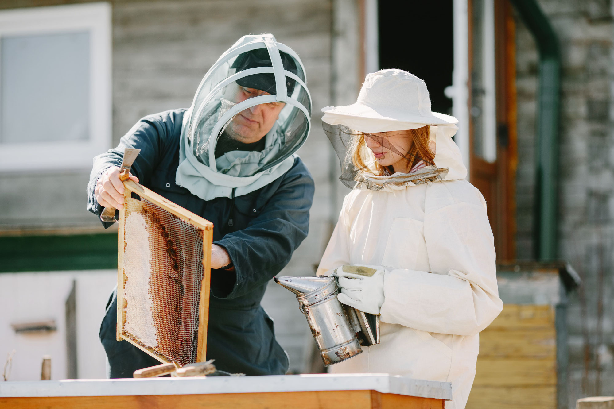 L'apiculture : un art ancestral au service de la biodiversité