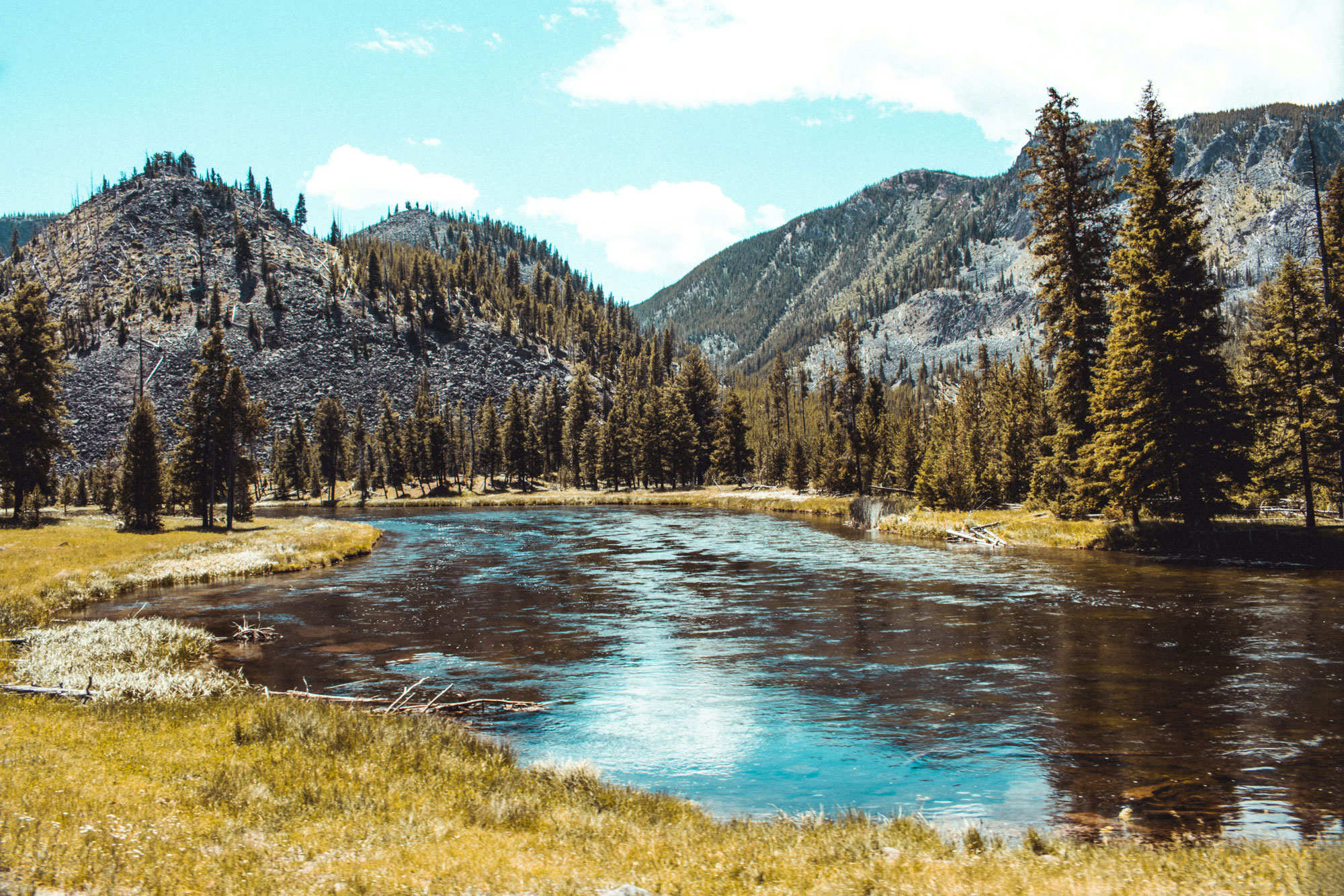 Le parc national de Yellowstone, véritable merveille de la nature