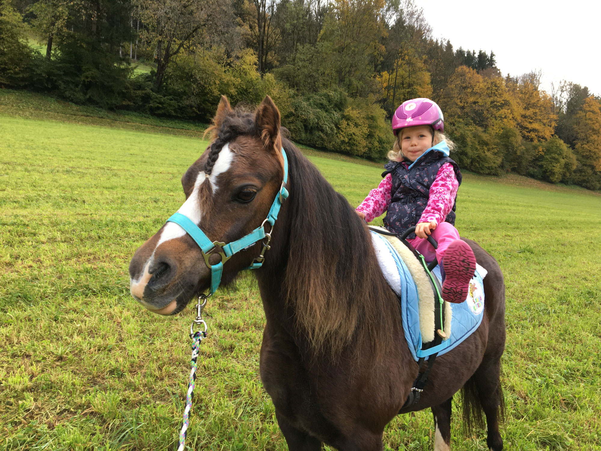 Wann soll dein Kind reiten lernen?