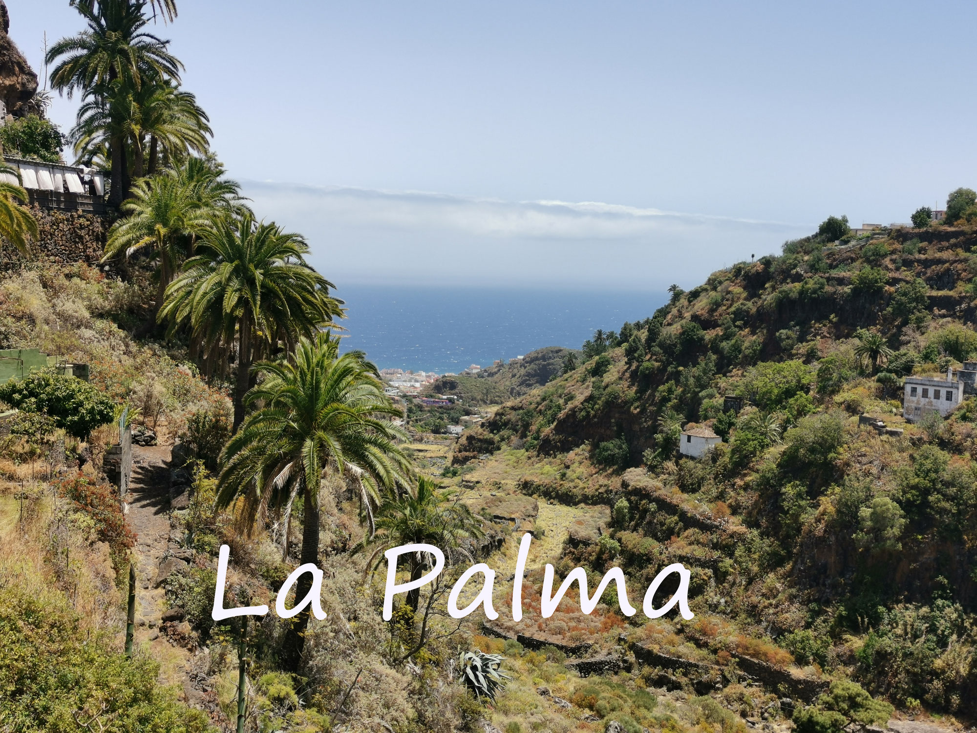 La Palma