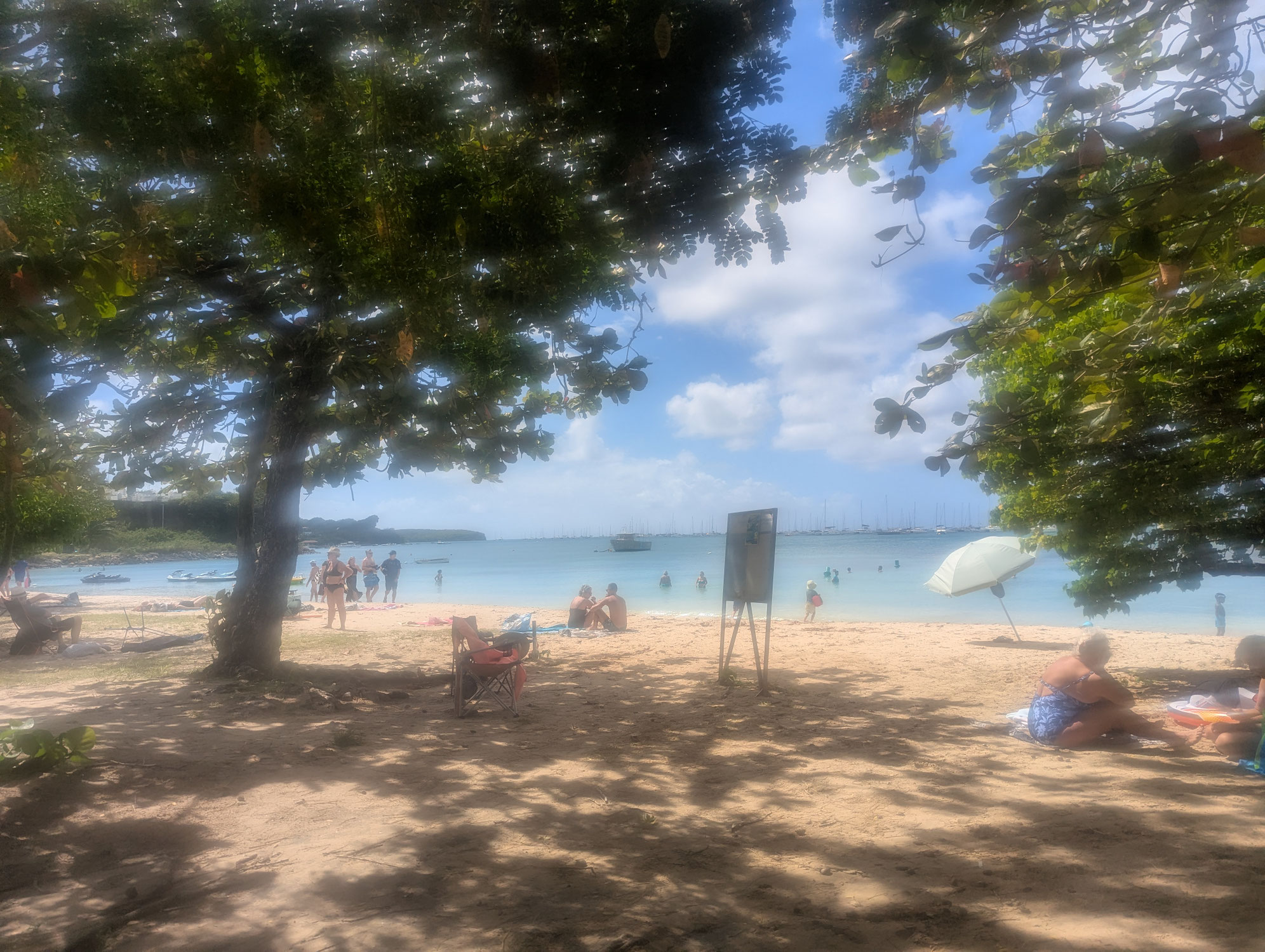 Martinique 25.01.2026