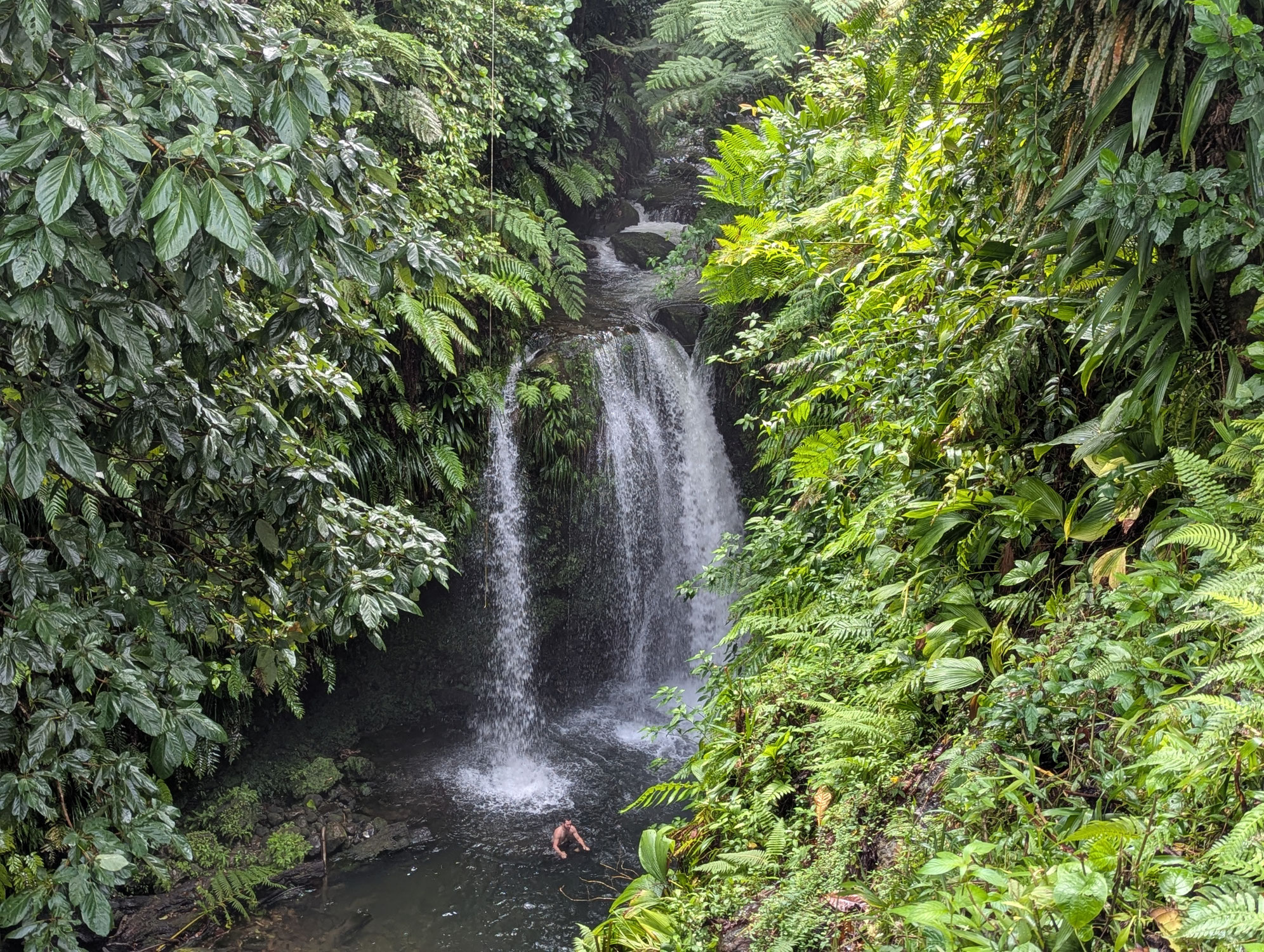 Cruiseportguide Dominica