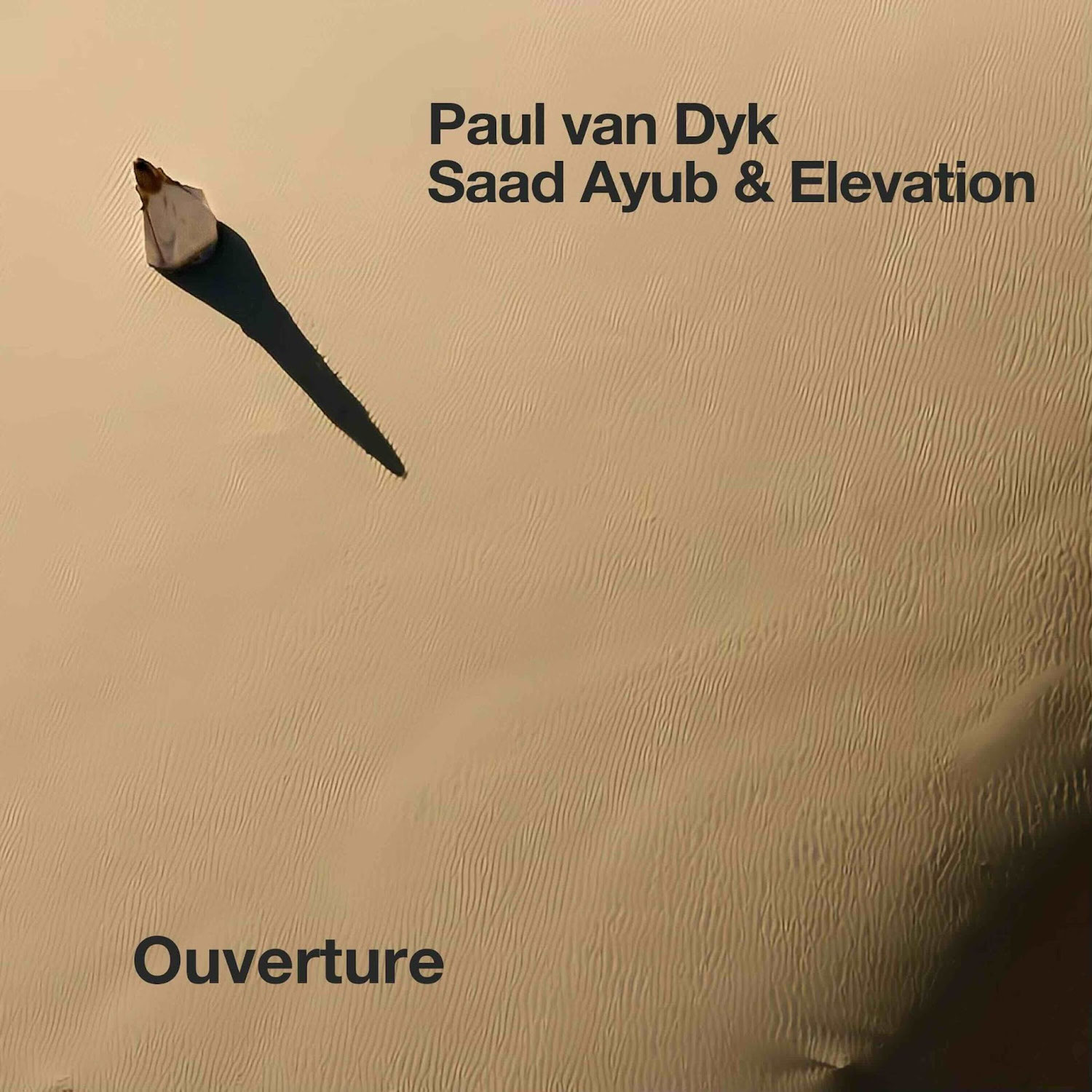 Paul van Dyk, Saad Ayub & Elevation