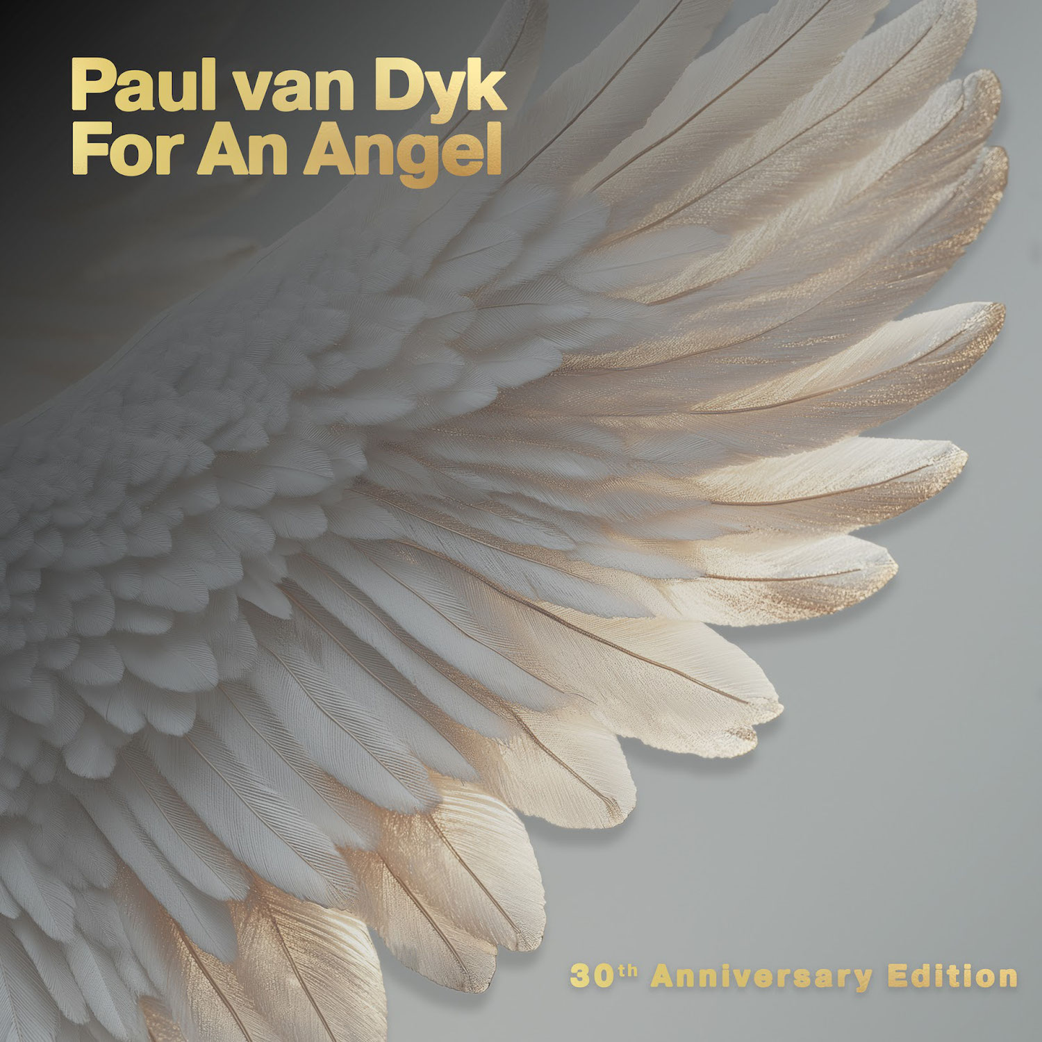 Paul van Dyk
