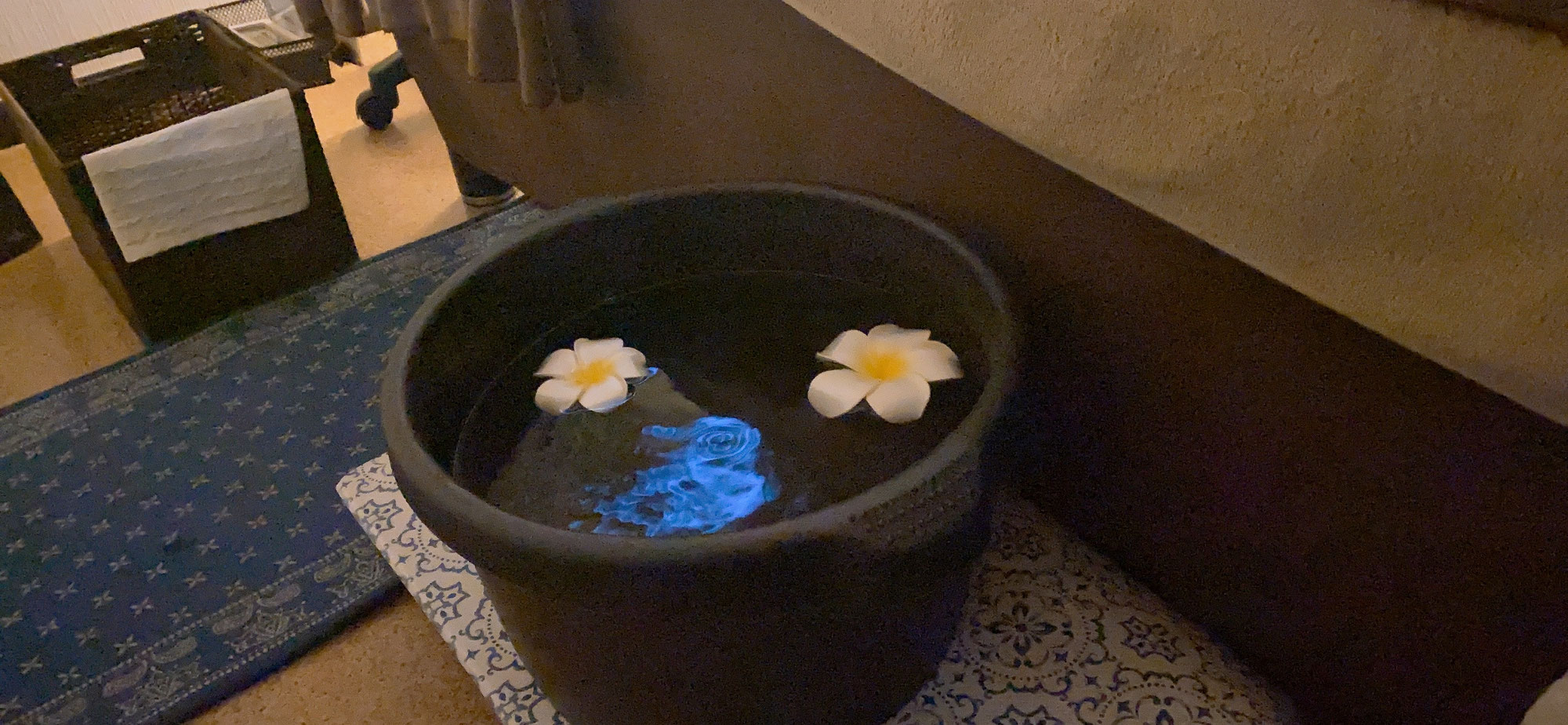 夏の疲れをとろう♪
