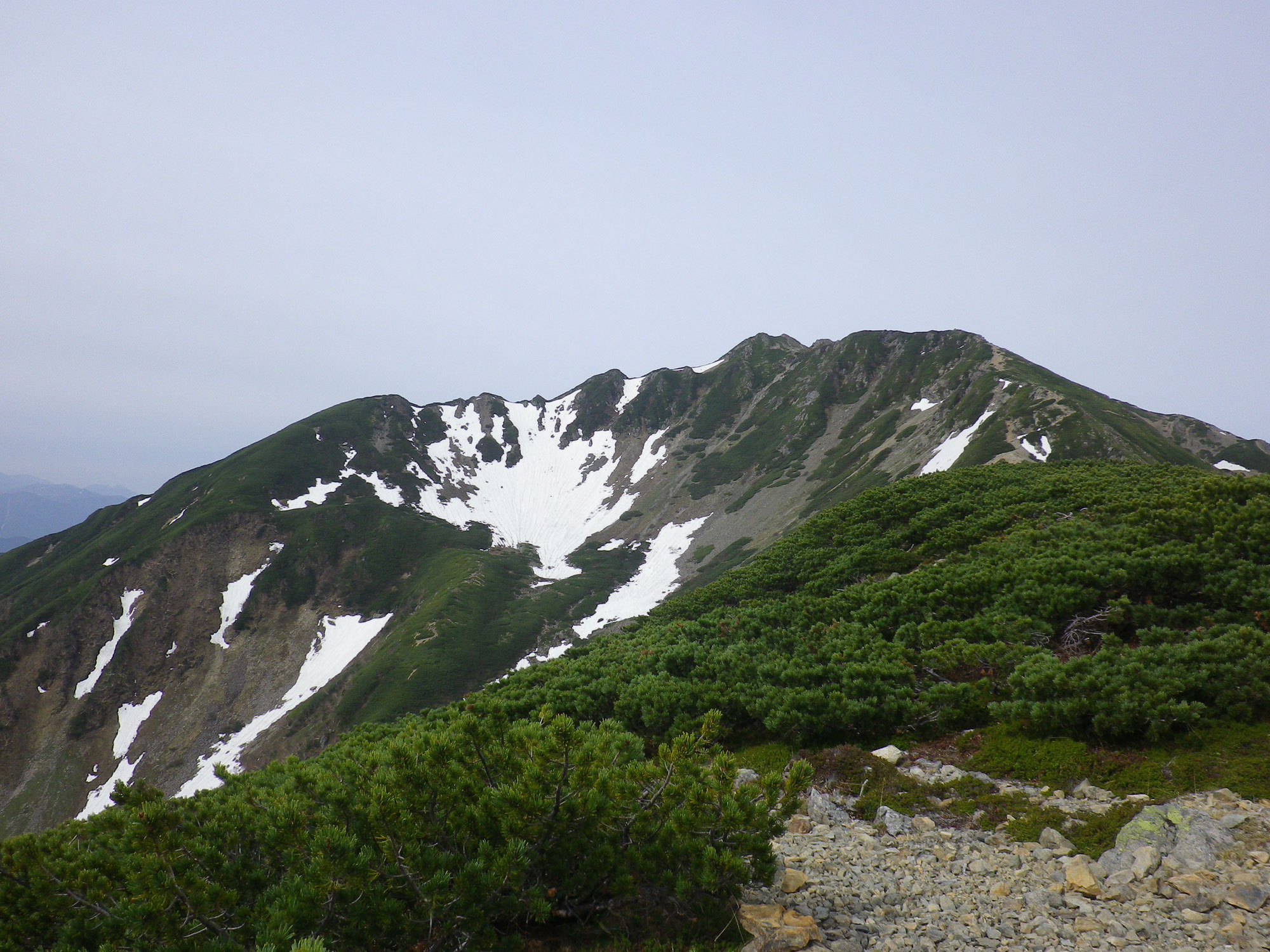 個人山行　野坂・折戸谷林道～新庄乗越～・806～芦谷山　