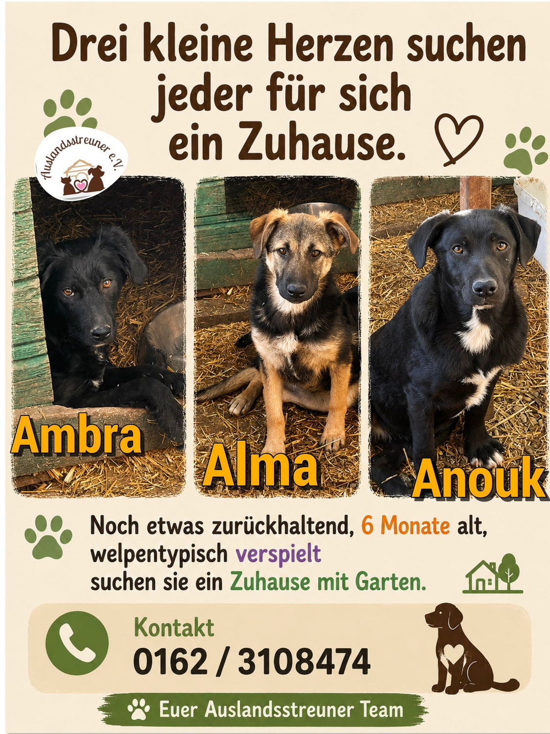 Amra,Alma und Anouk suchen ein Zuhause