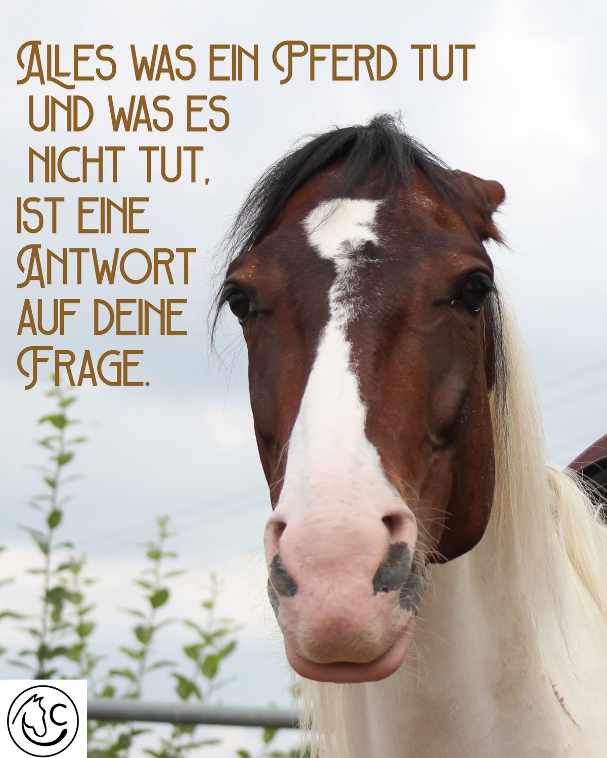 Schau genau hin! 