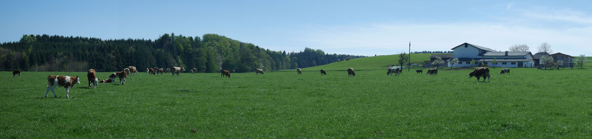 Copyright Soellhammer.at (c) Soellhammer.at