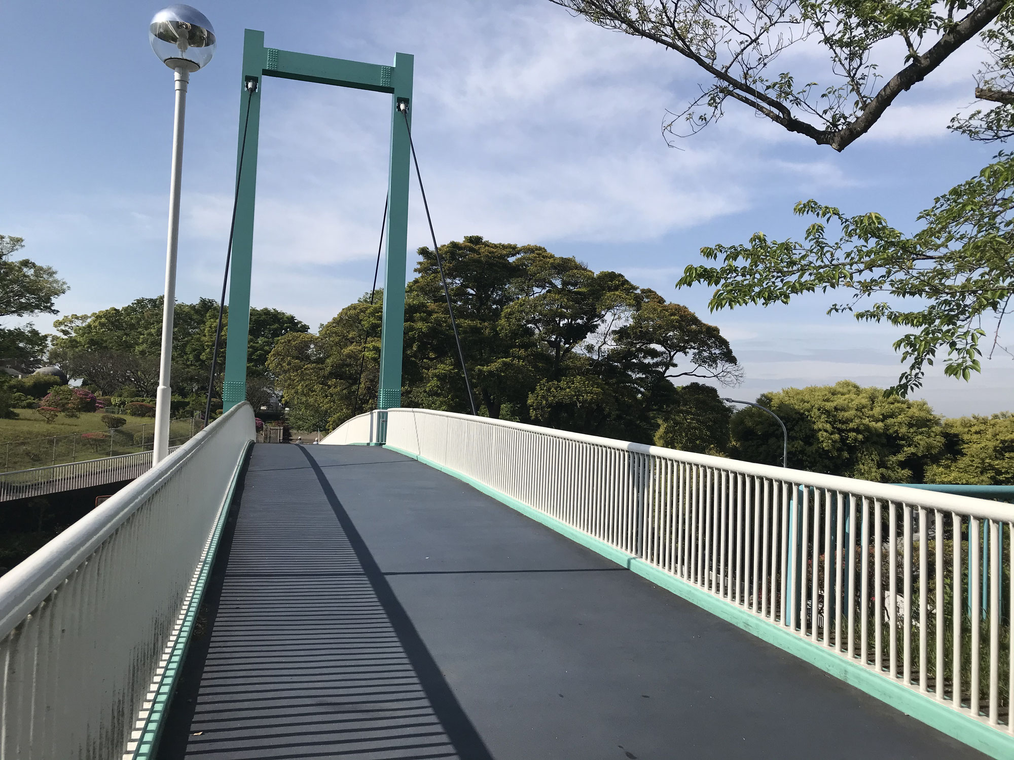 野毛山公園は最高です