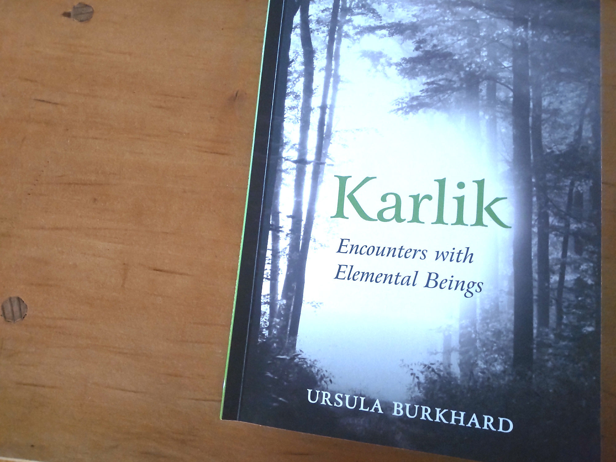 『Karlik』ウルスラ・ブルクハルト著　