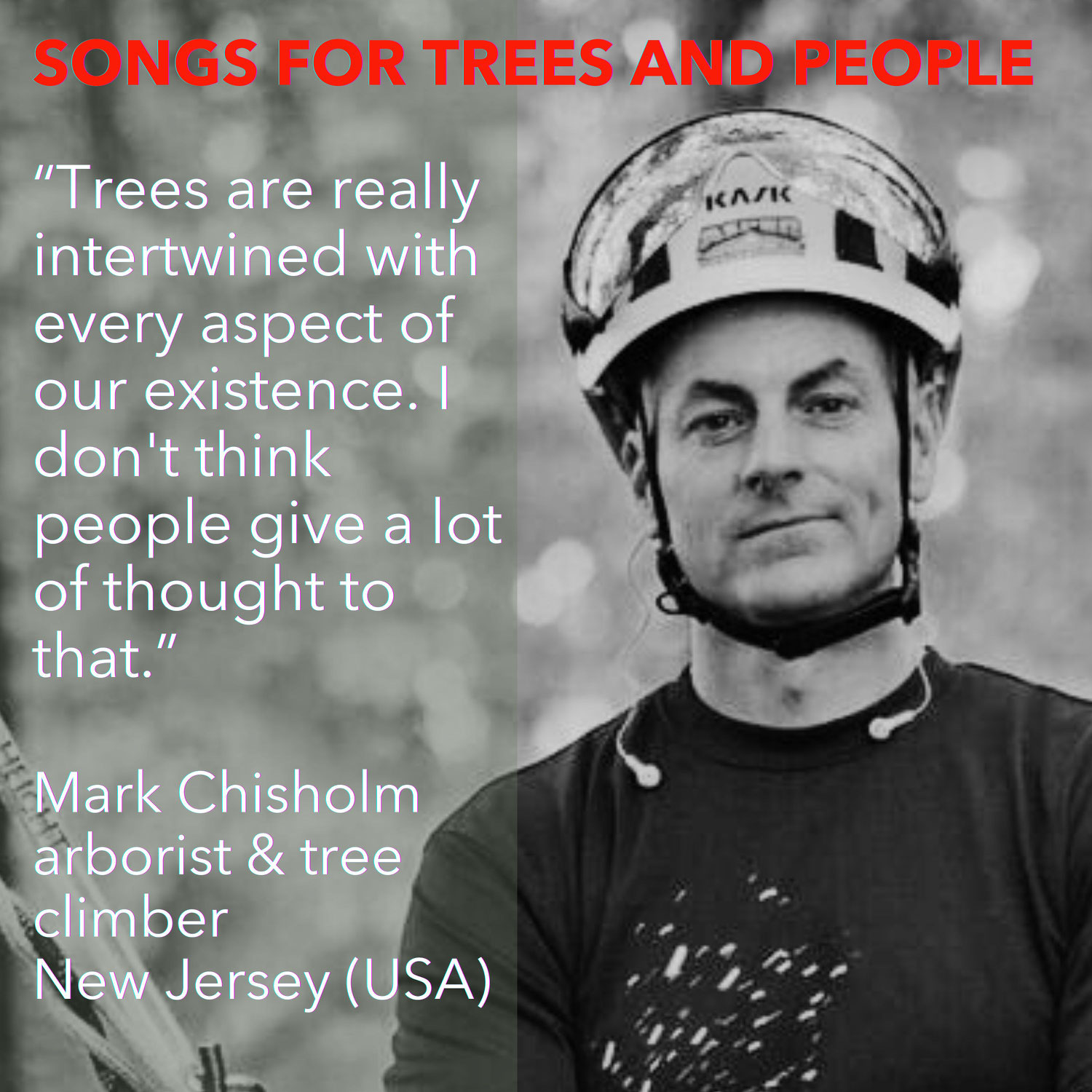 Mark Chisholm – Giant Sequoia