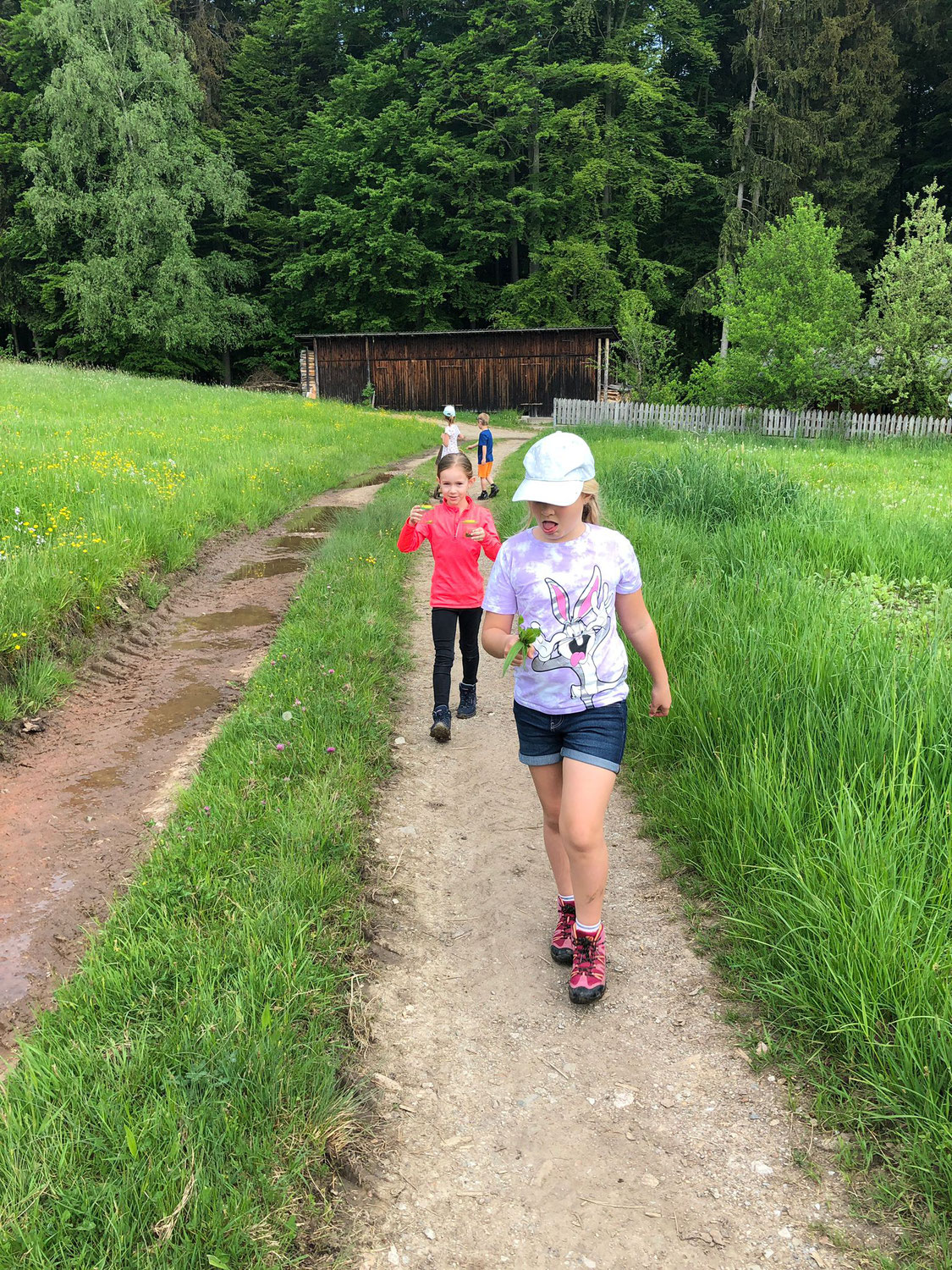 Wiese- & Waldworkshop