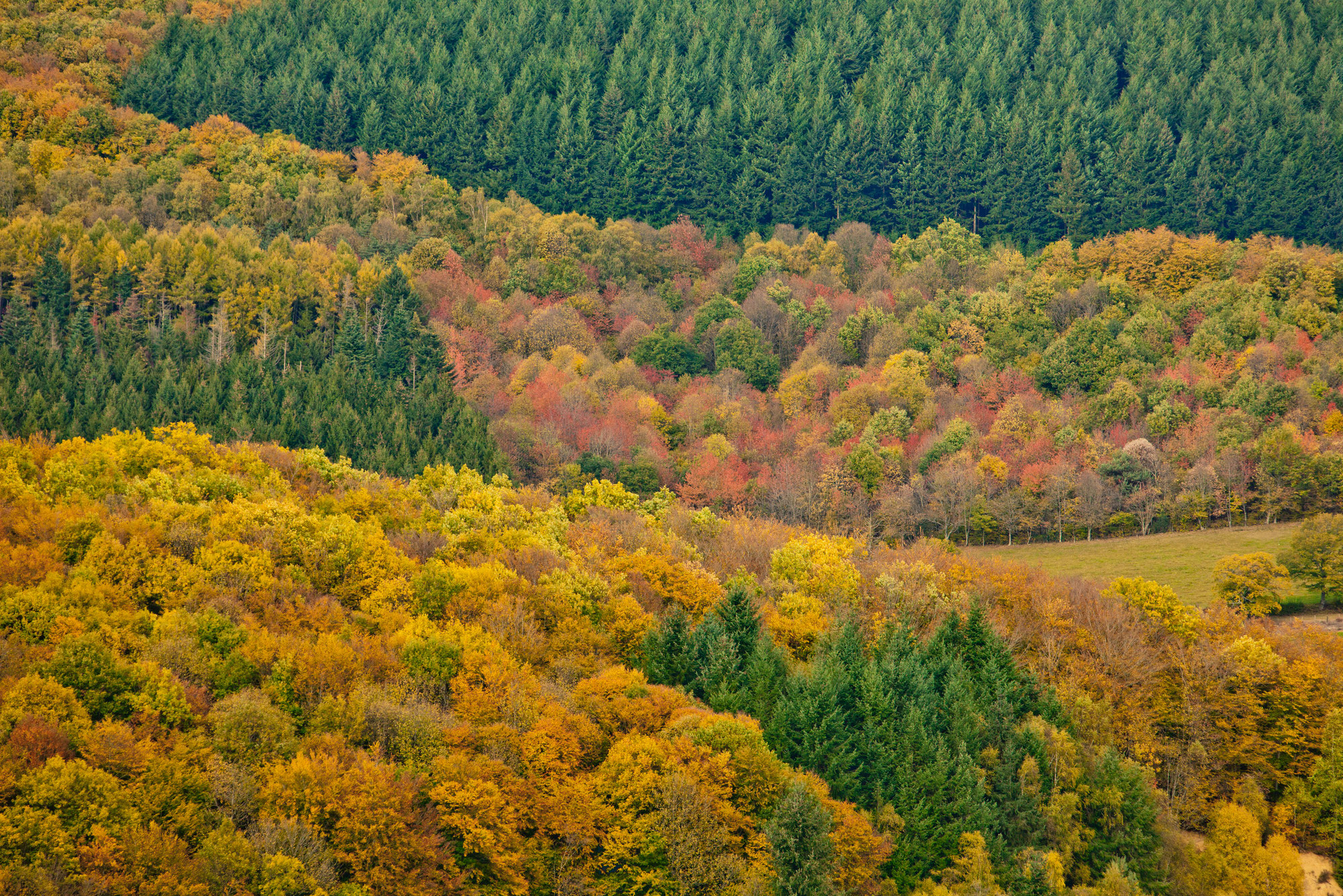 Morvan Séjours