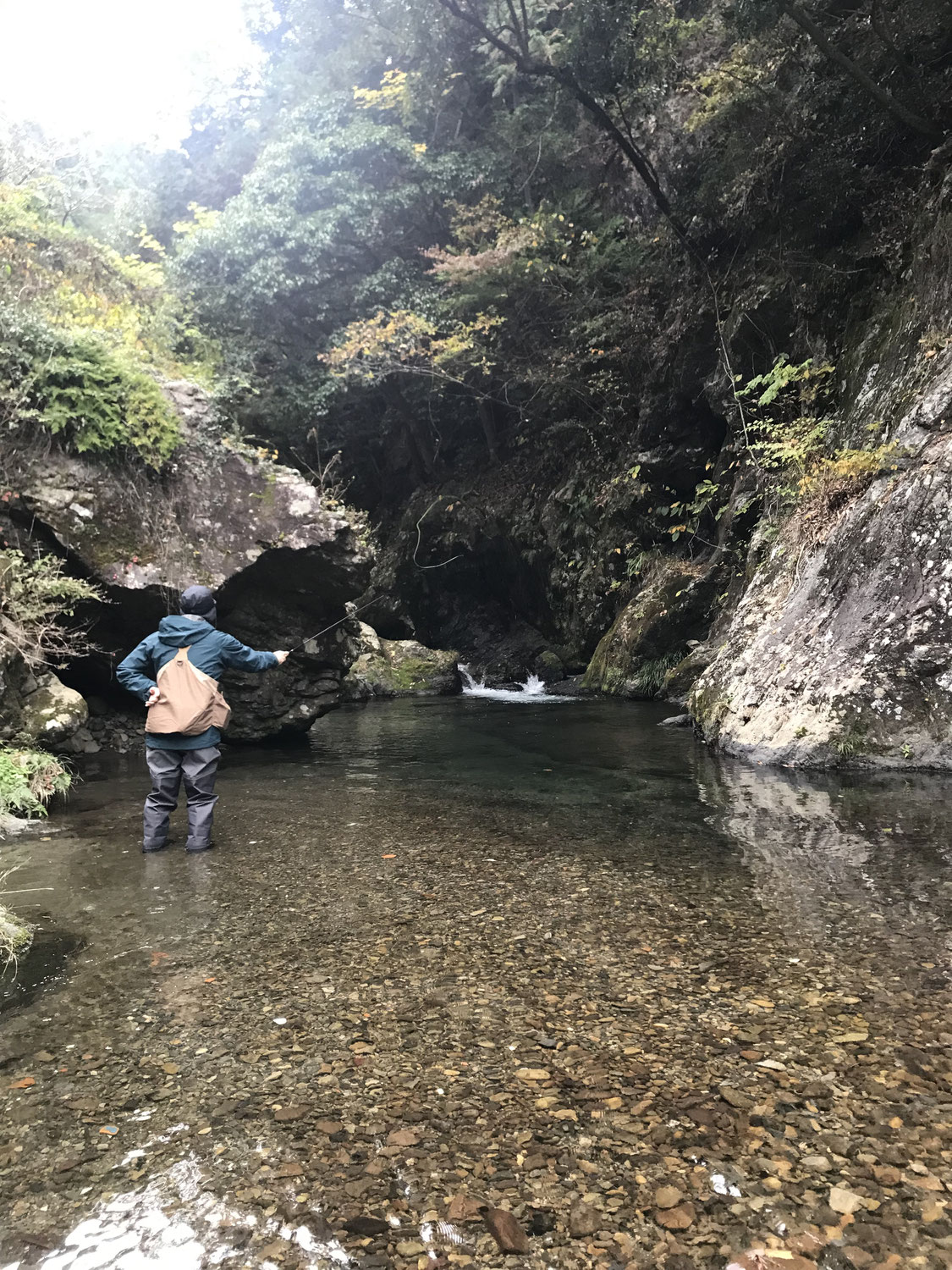 テンカラ教室の募集を再開しました