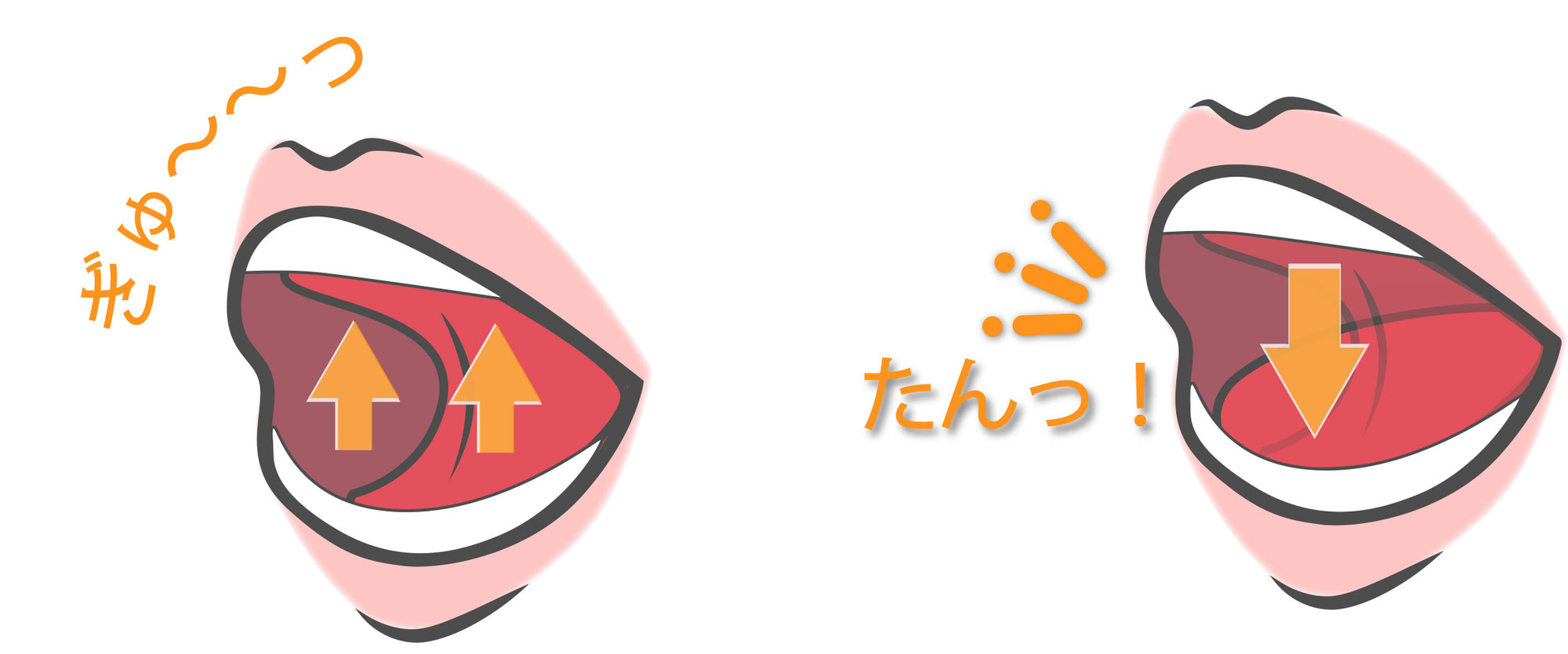 「お口ぽかん・舌の癖が治らない理由｜MFT（訓練）より先に必要な『顎の位置』の修正」