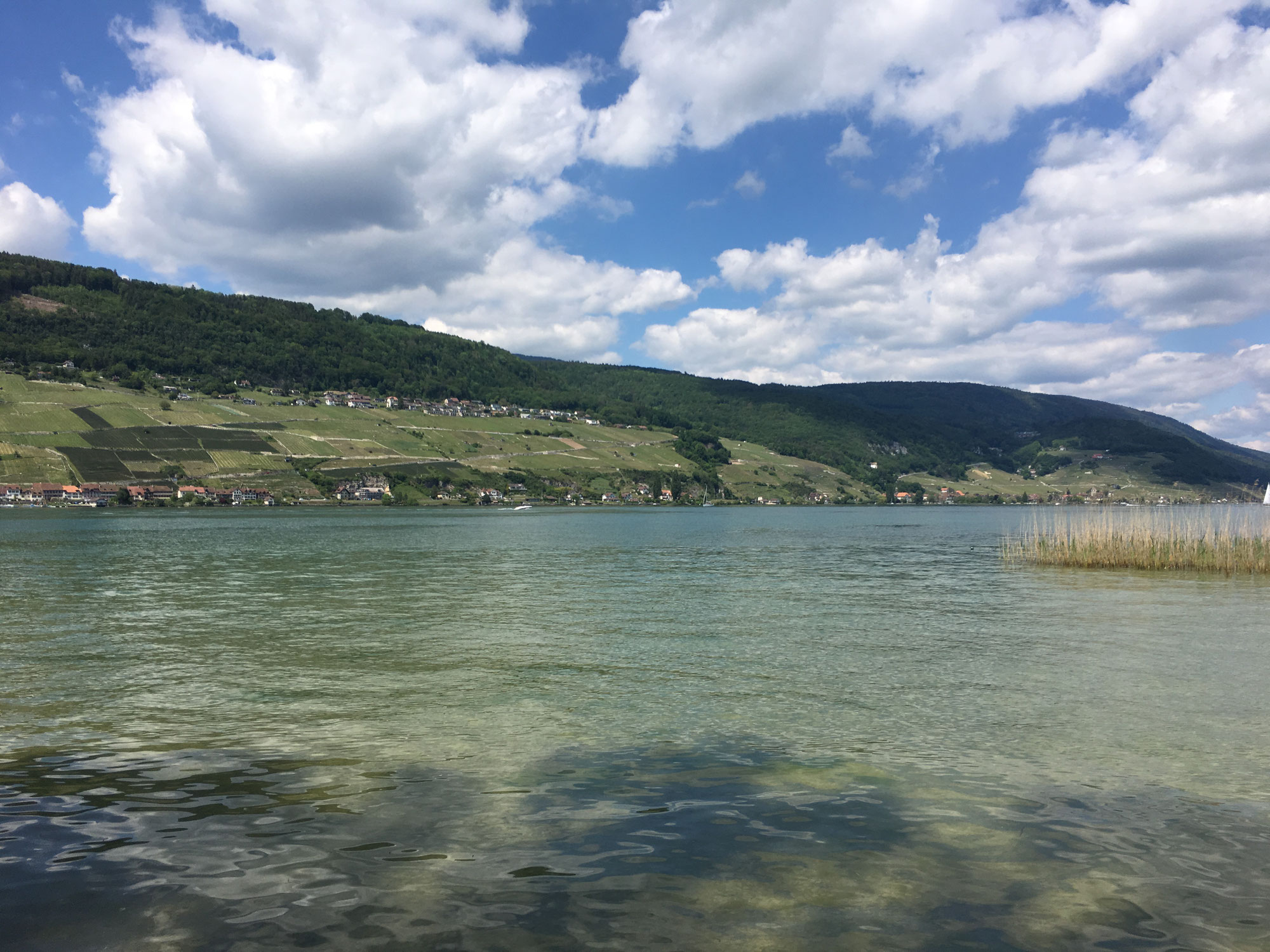 Bielersee zum Dritten - Camping Erlach
