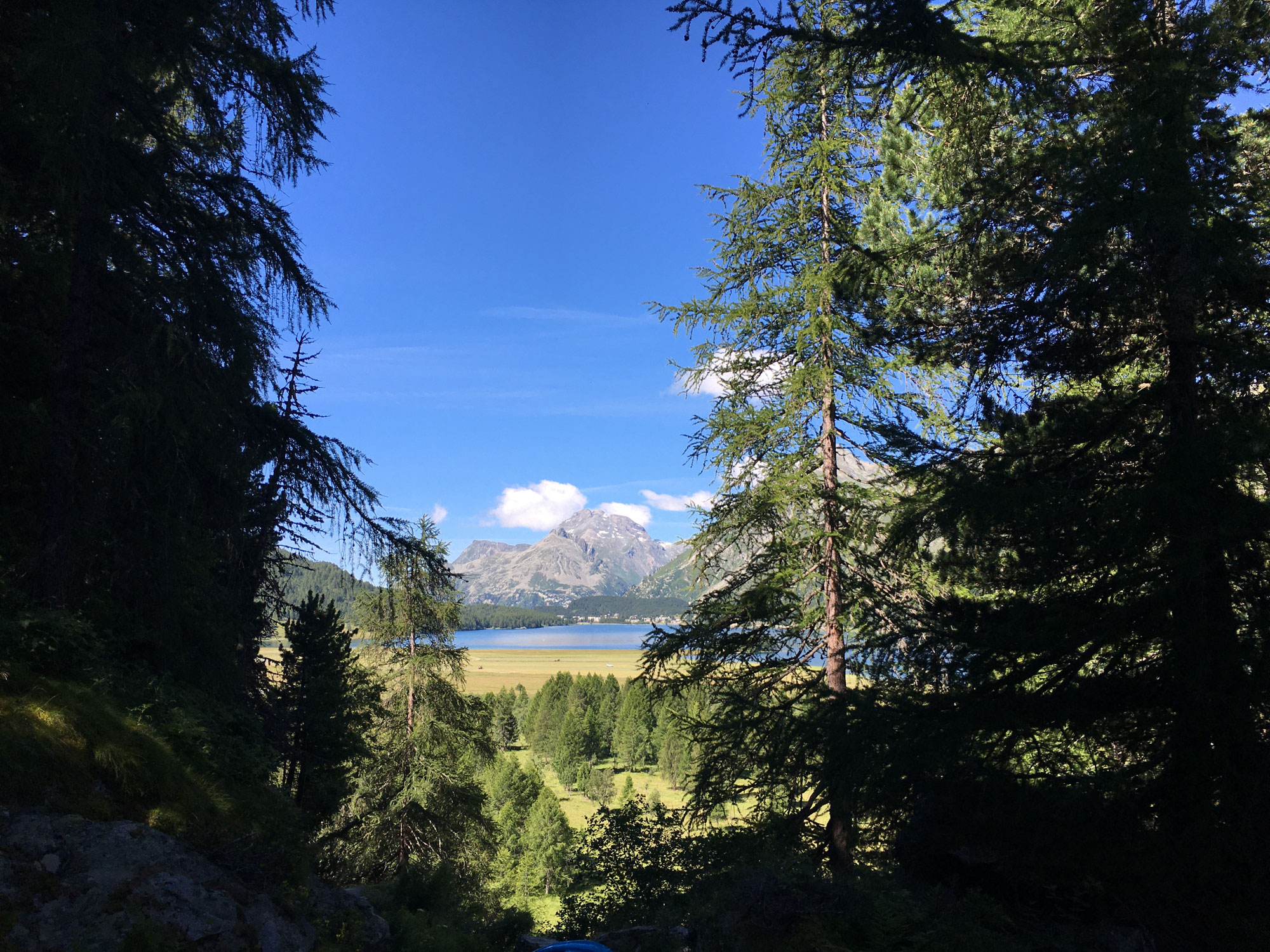 Ab ins Engadin - Maloja und Val Fex