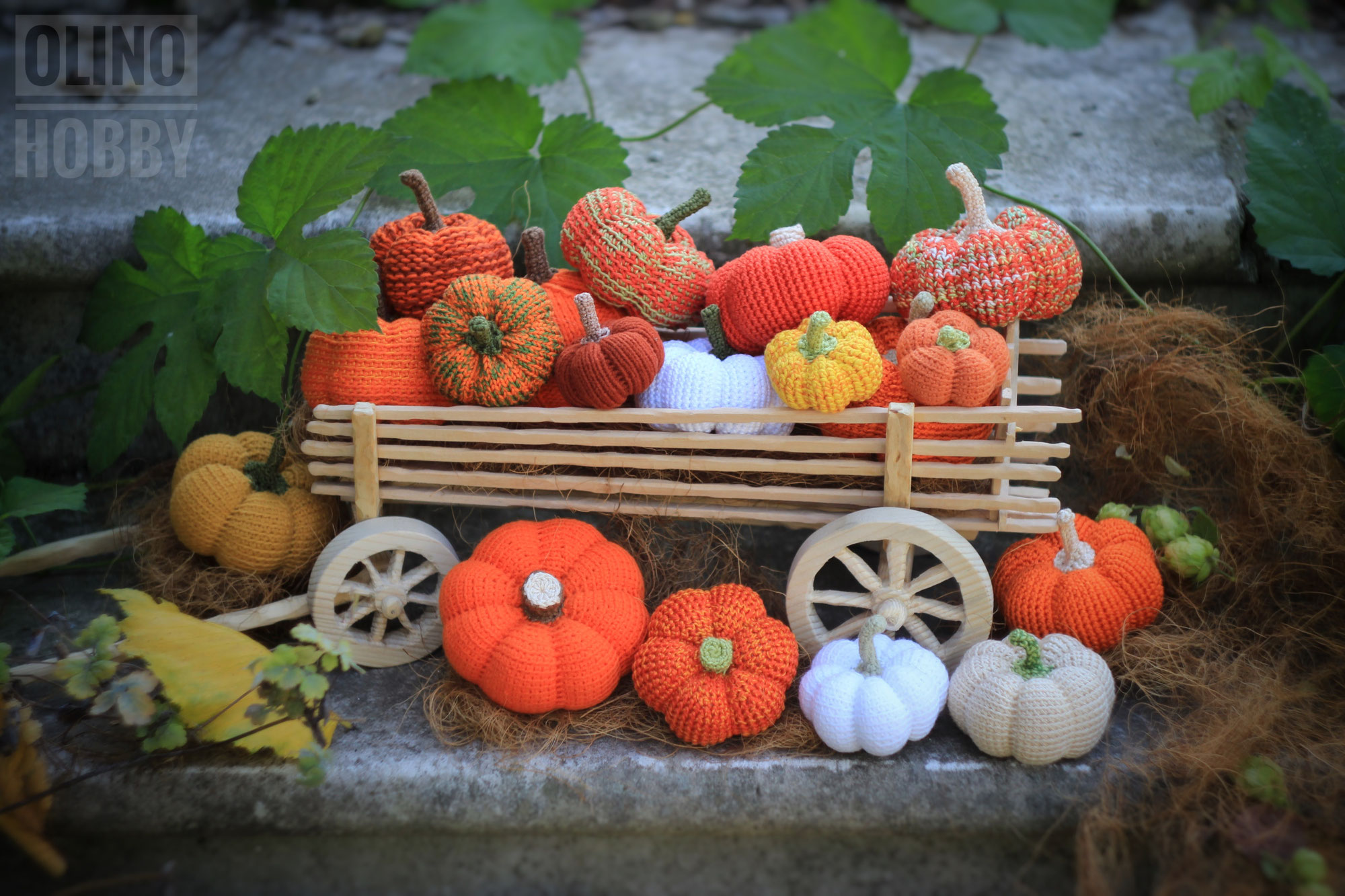 Pumpkins time