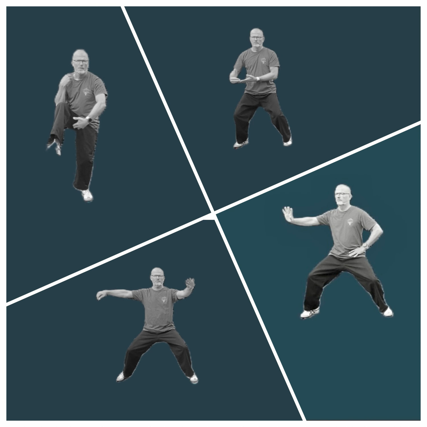 Die Bedeutung der Grundübungen im Tai Chi Chuan