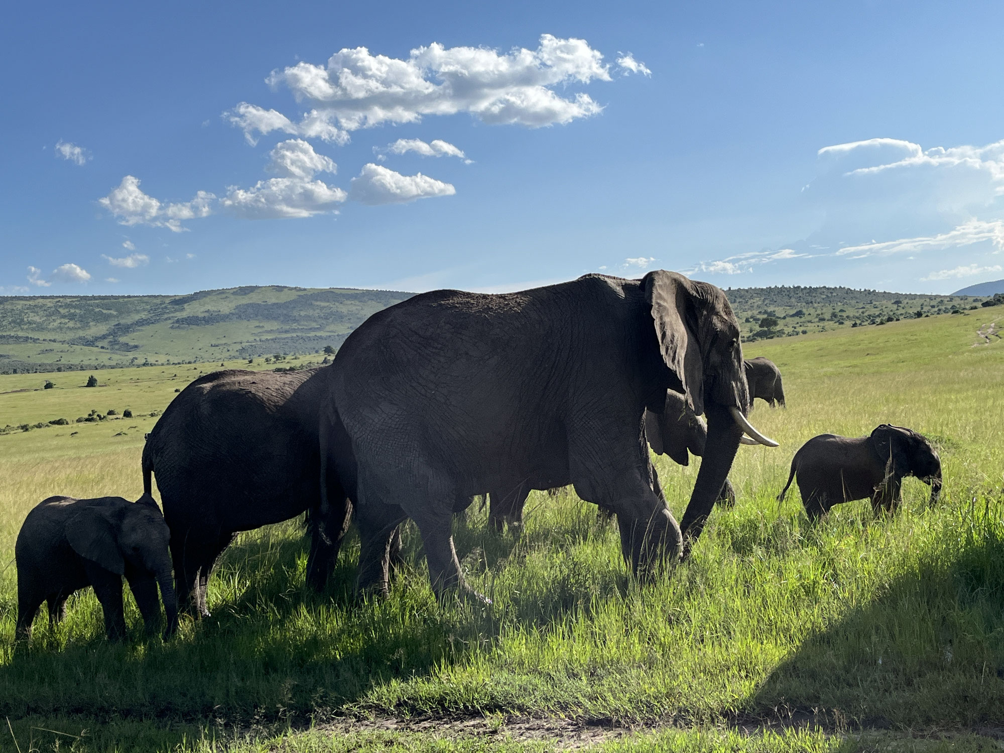 International Experience: Kenya