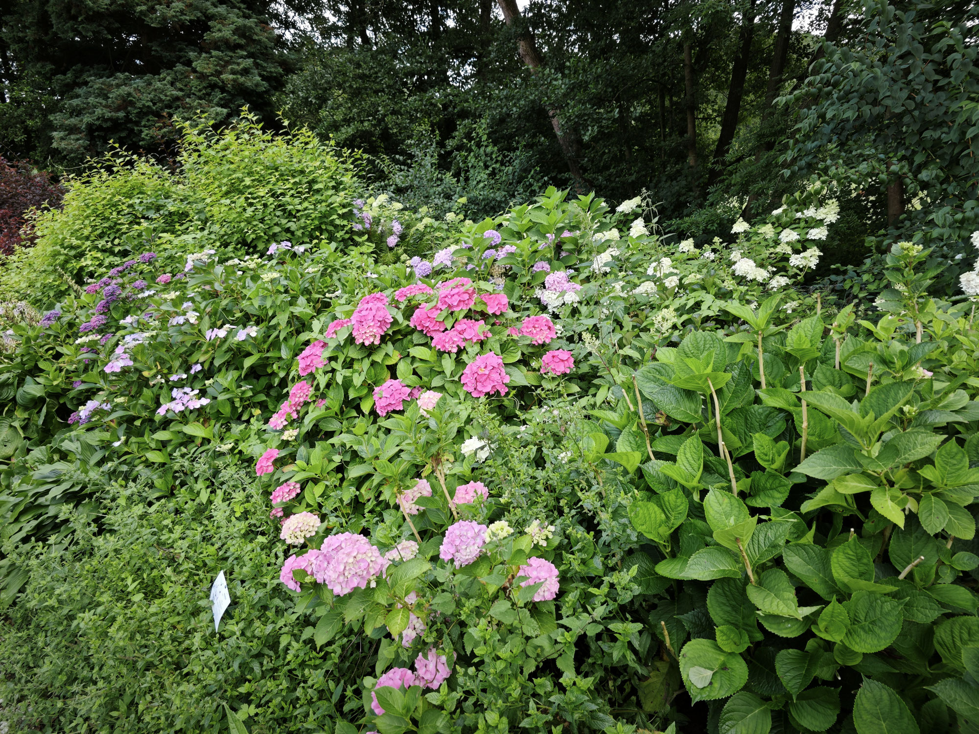 Sommerausflug