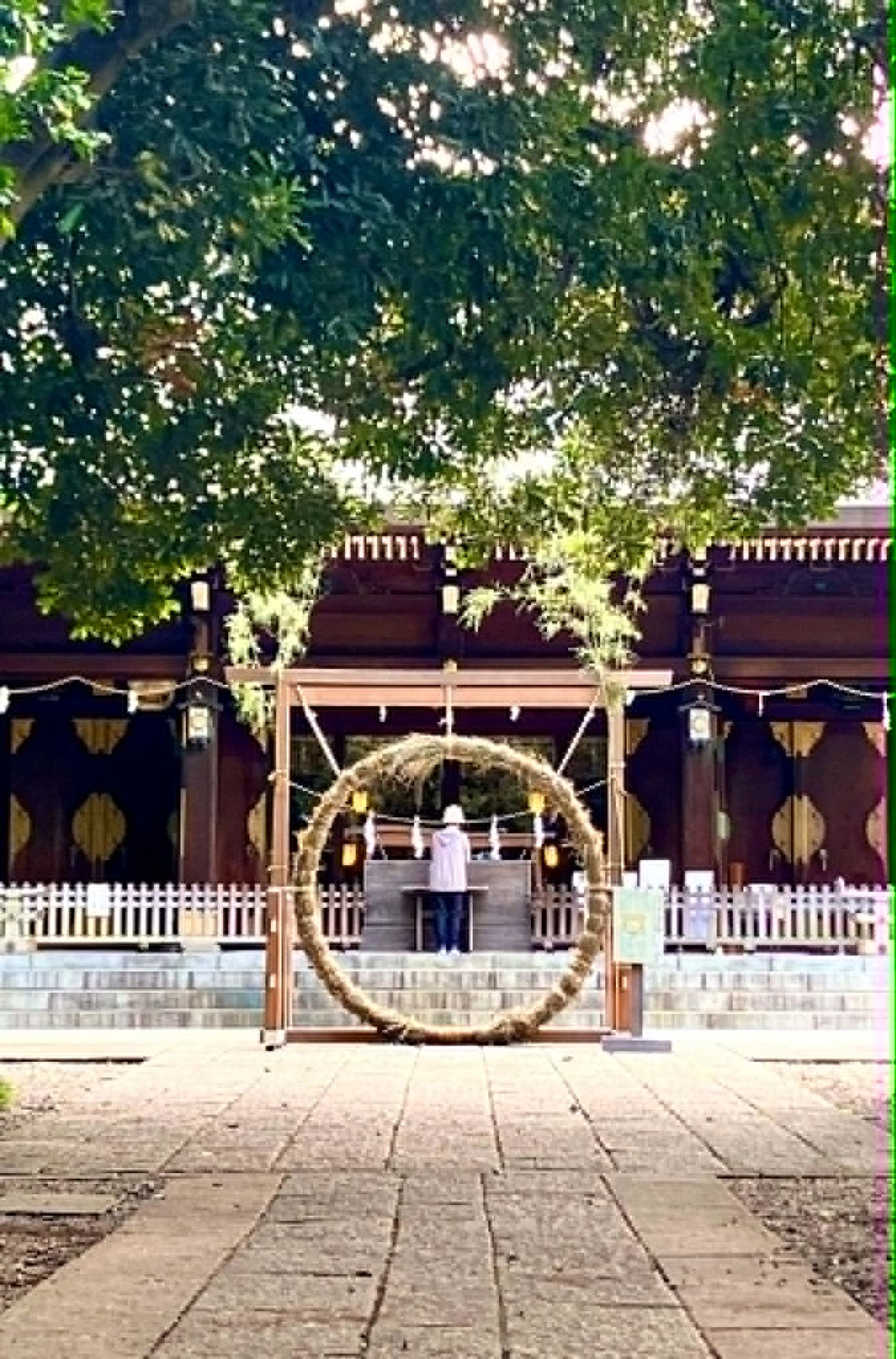 【無病息災】夏越の大祓「申年の梅」伝説と、夏を乗り切る梅干しの薬膳パワー！
