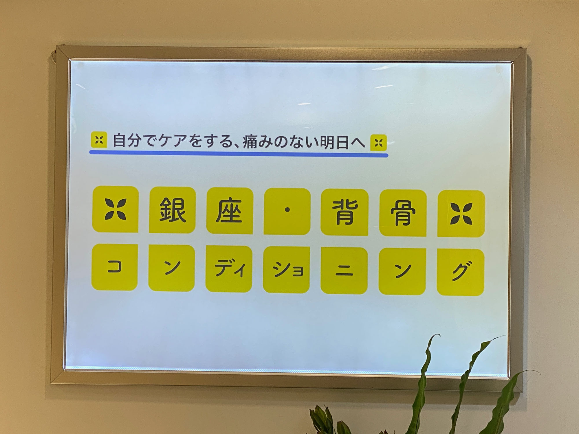 新規受付休止&銀座店勤務のお知らせ