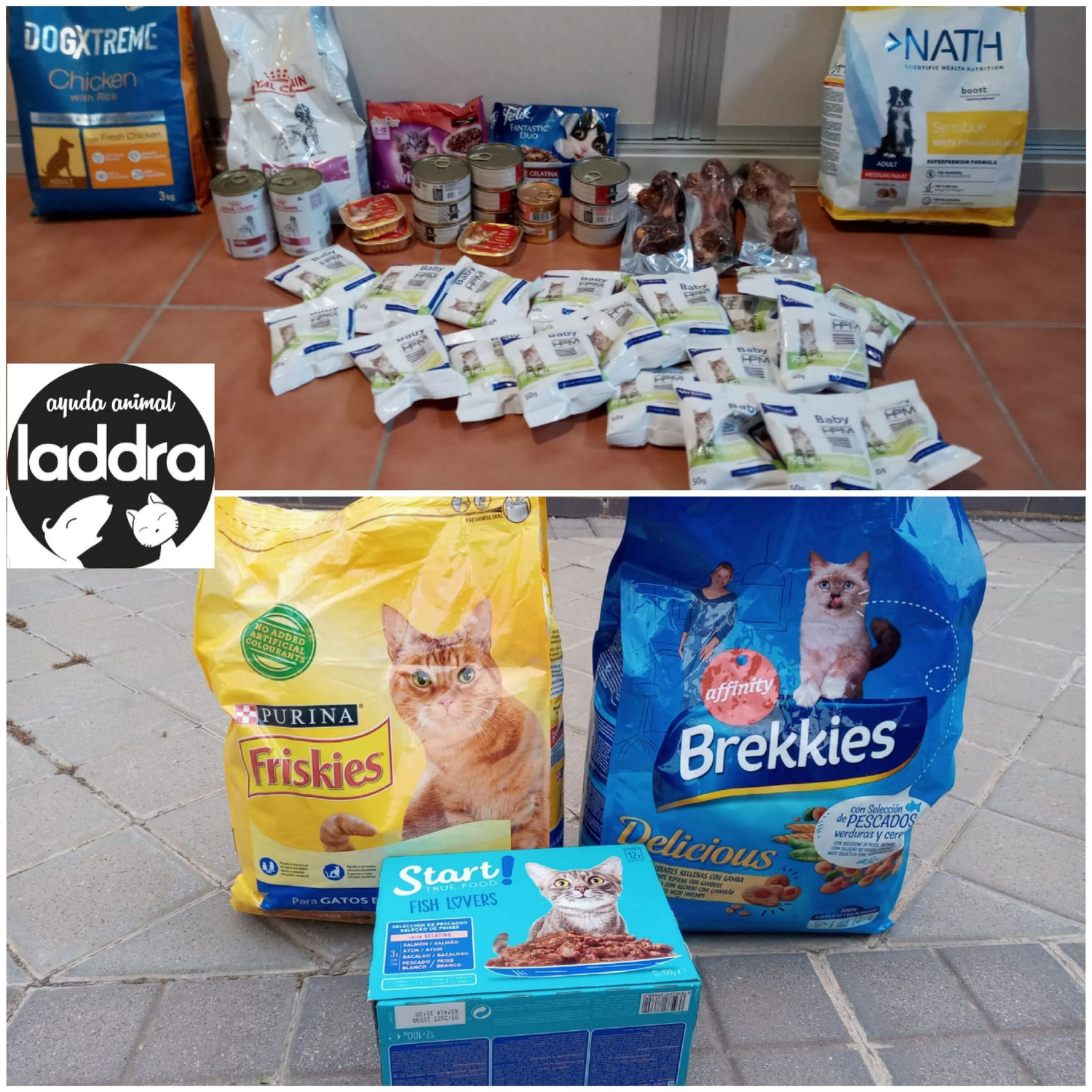 Donación para alimentadoras de Toledo