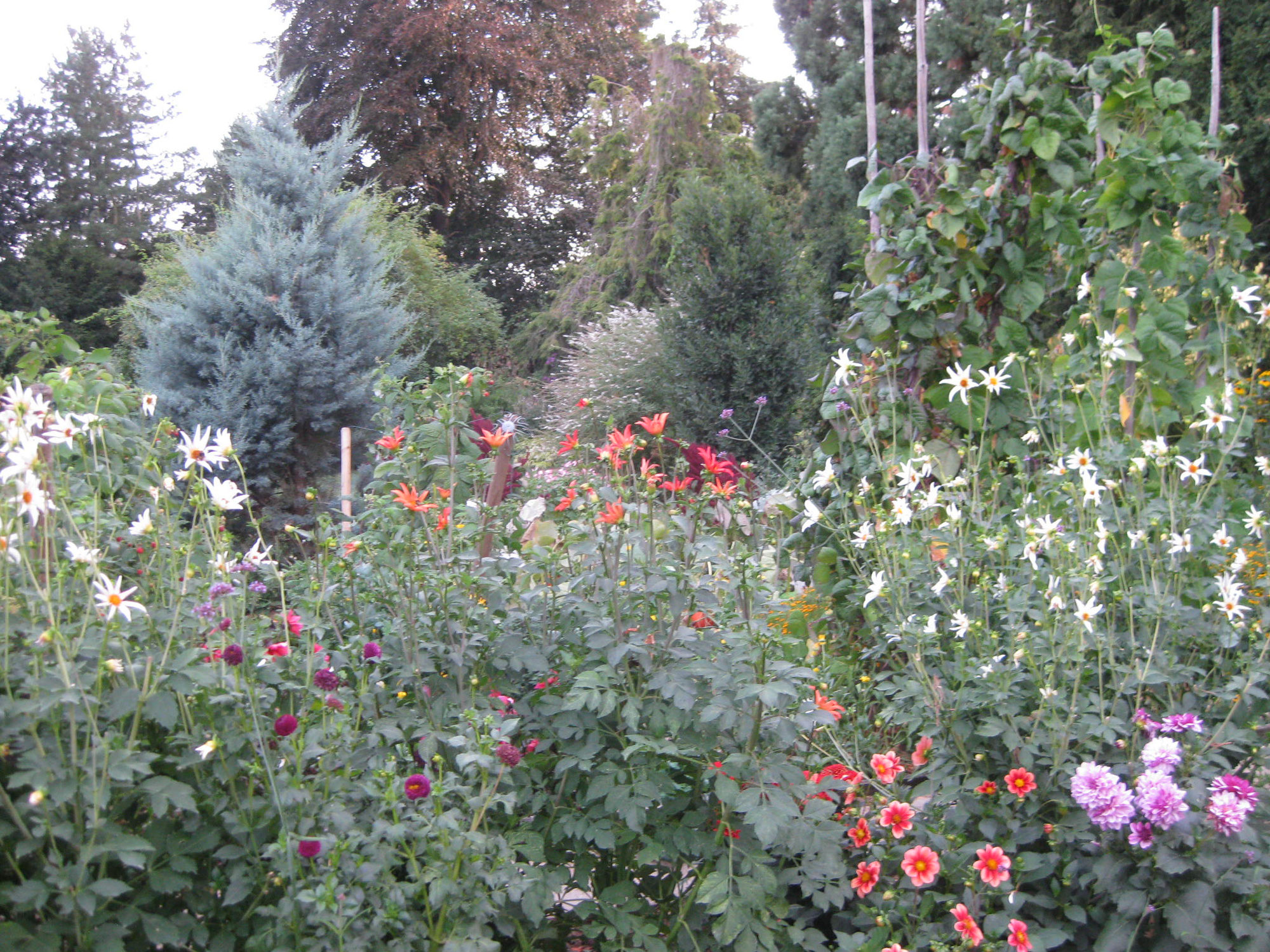 Gartenbesuch