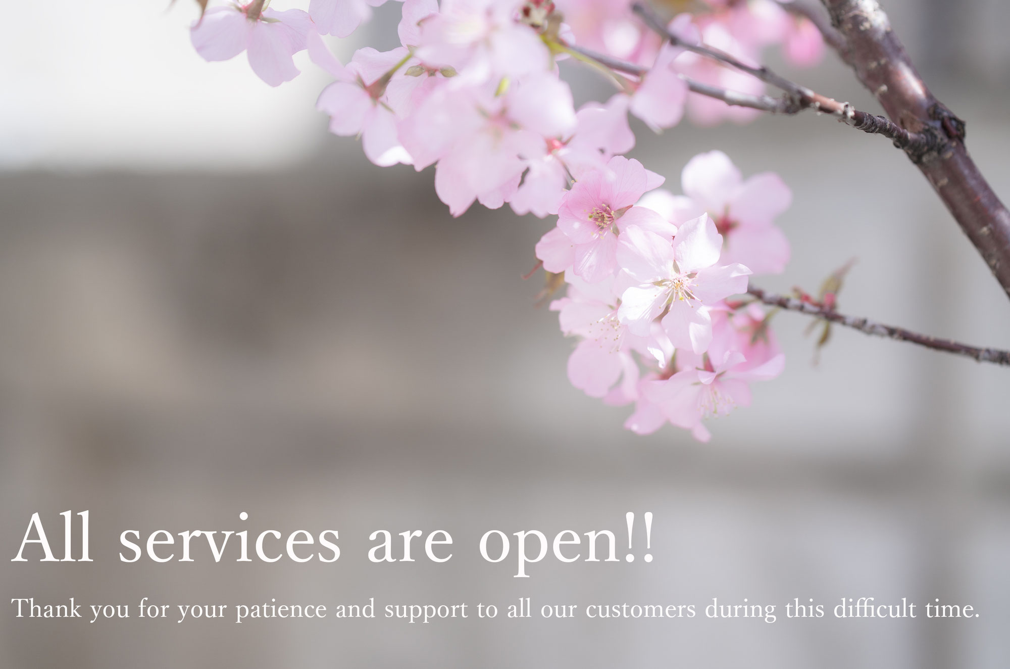 All service are open!!