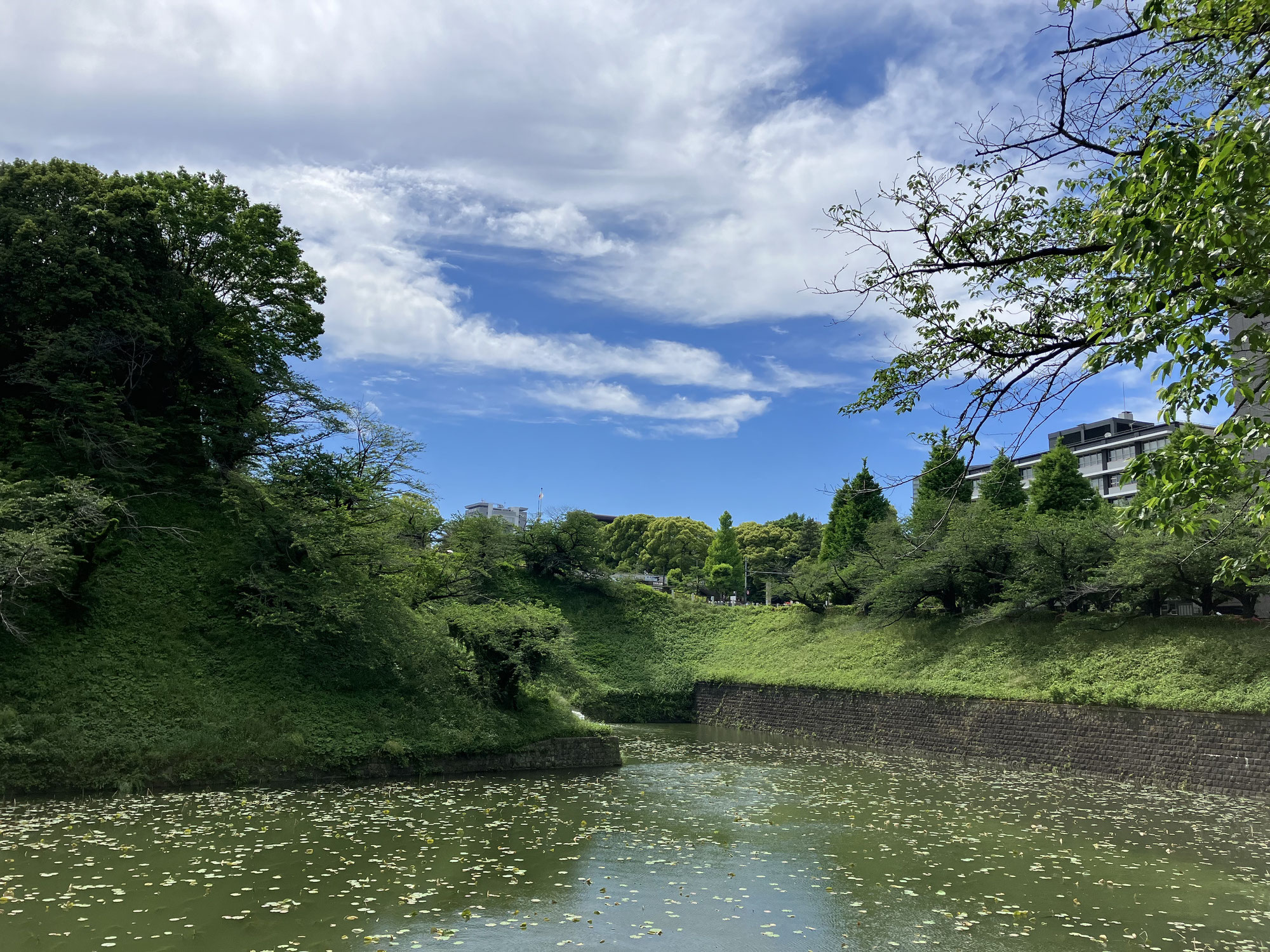 ハラスメント研修の実施