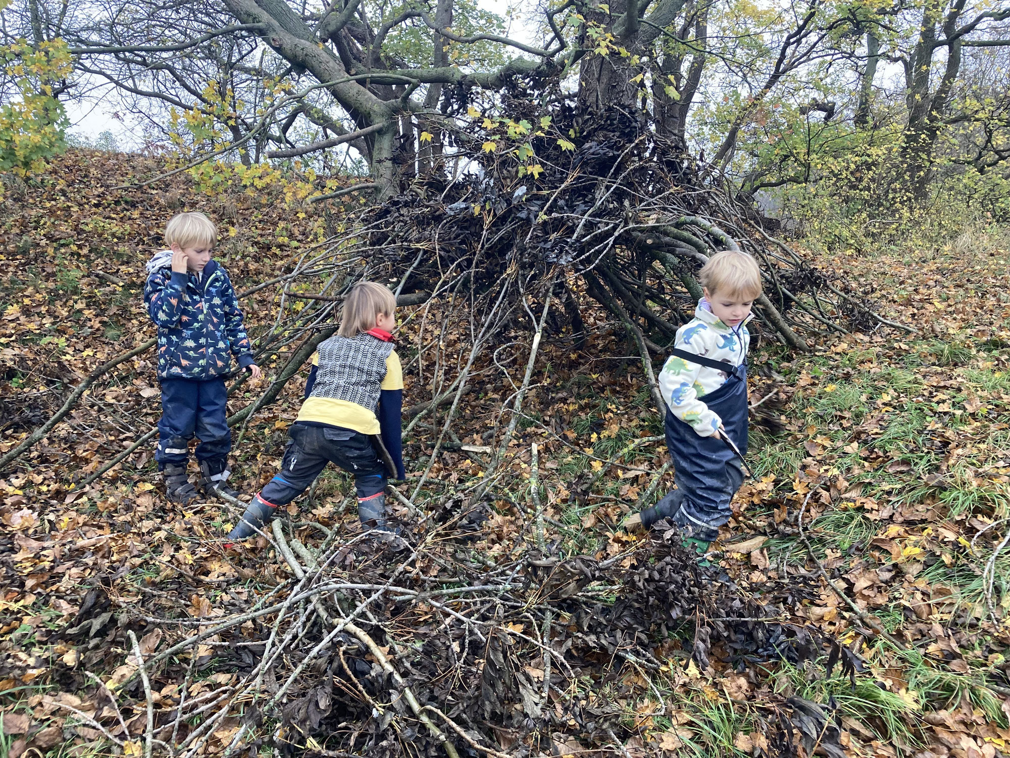 neues von den Waldkindern