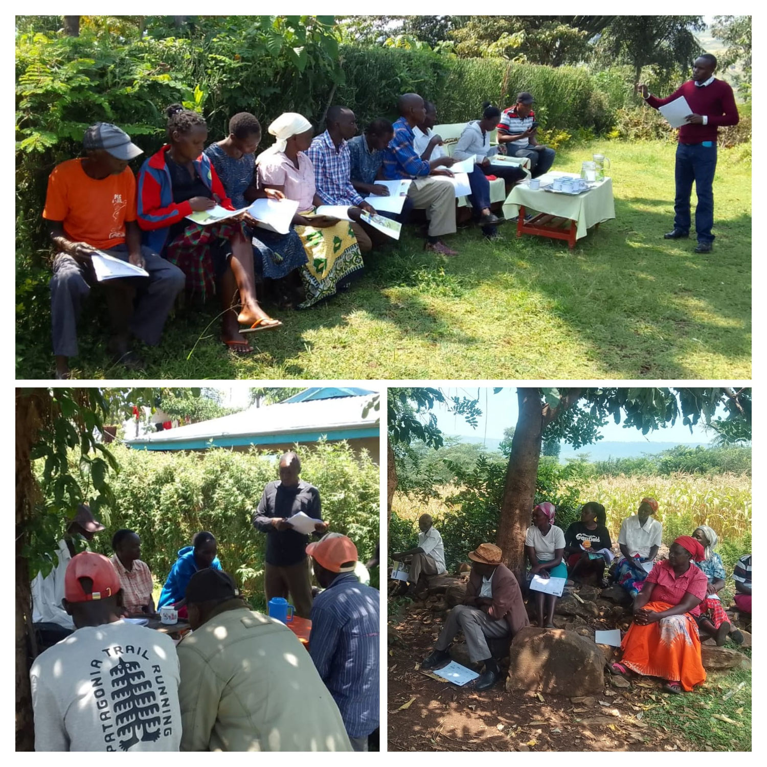 Fair Trade Trainings