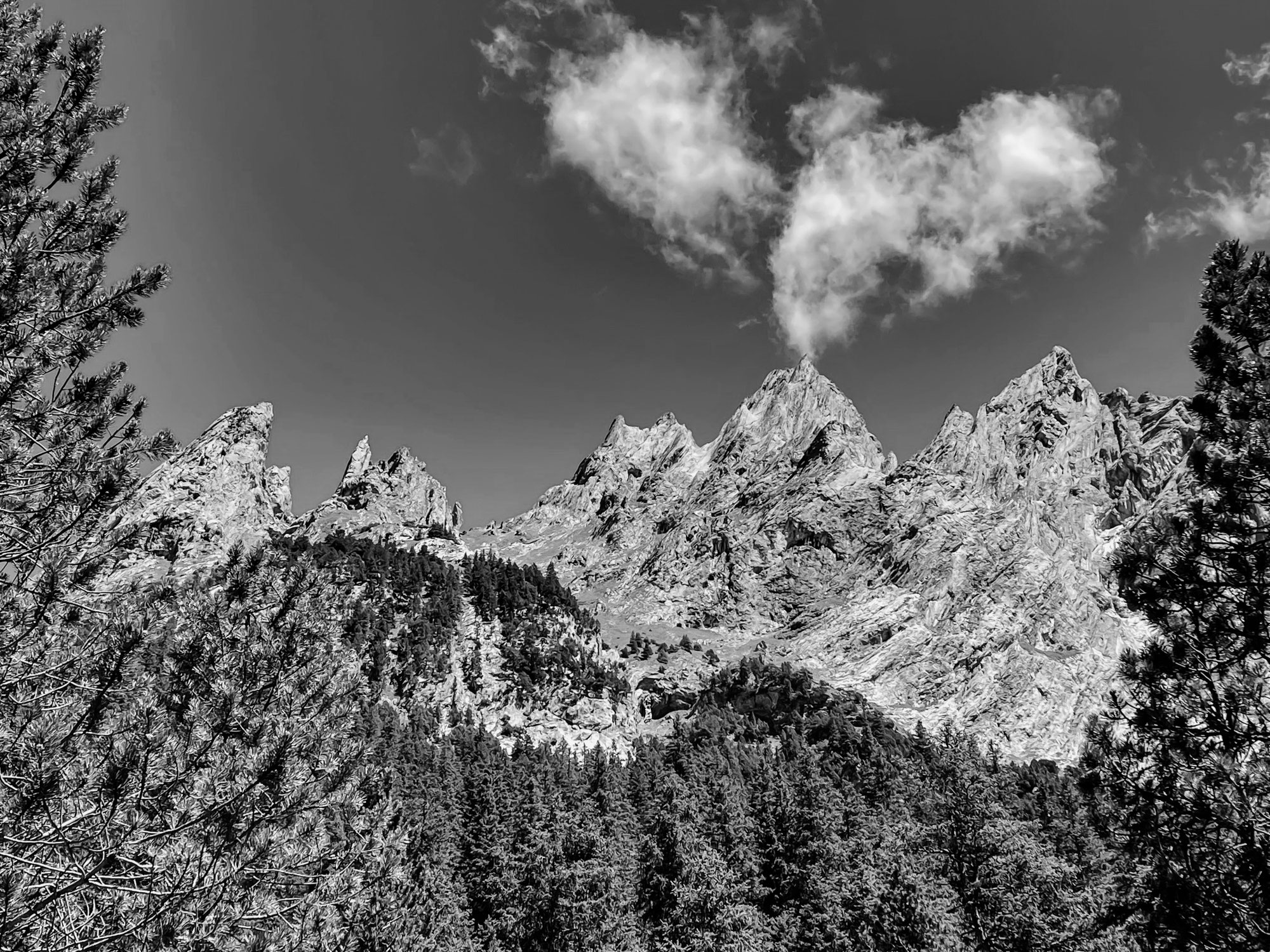 Silberhörner mit Herz