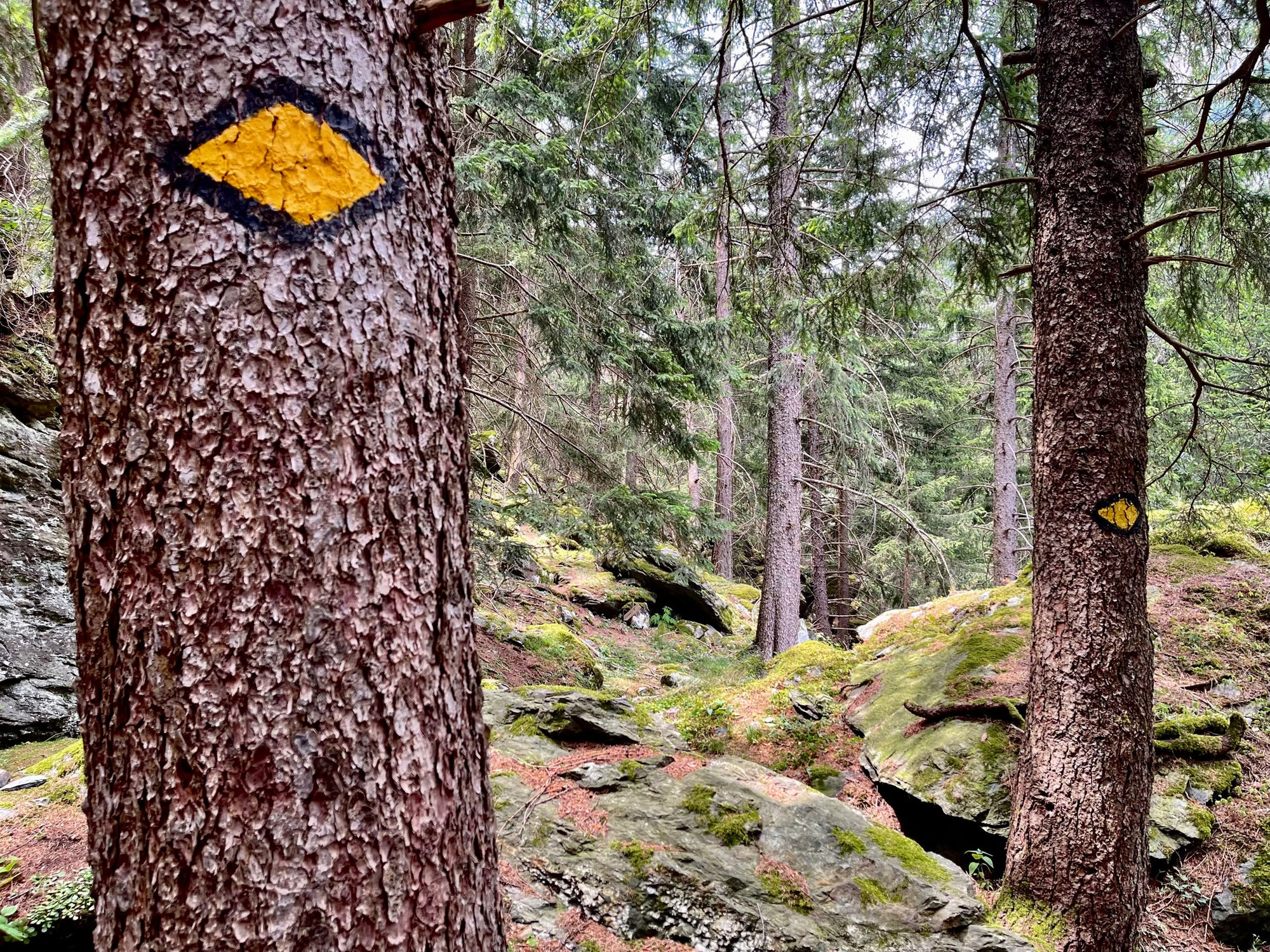 Rhoneknie und wilde Dranse