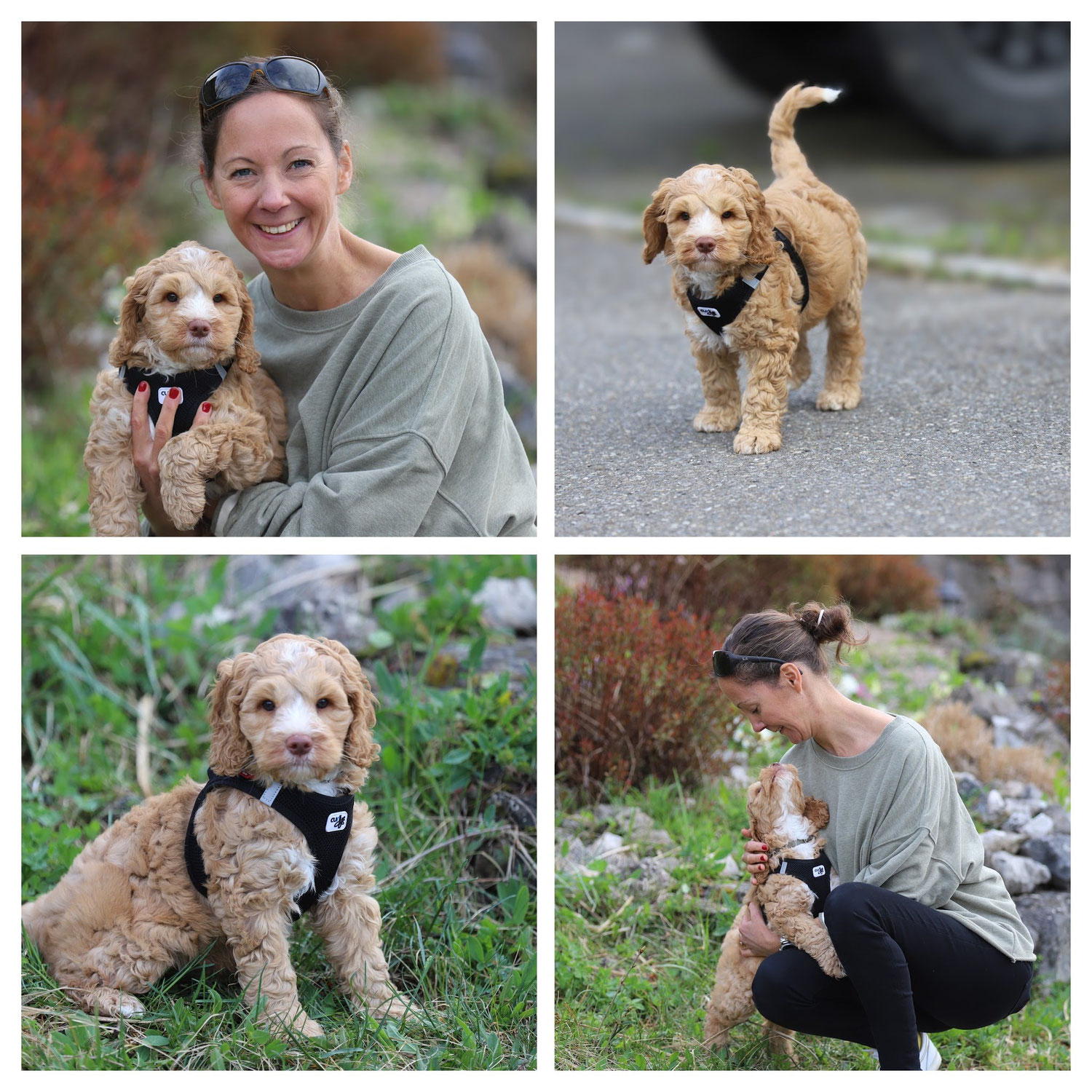 Wir waren fleissig...