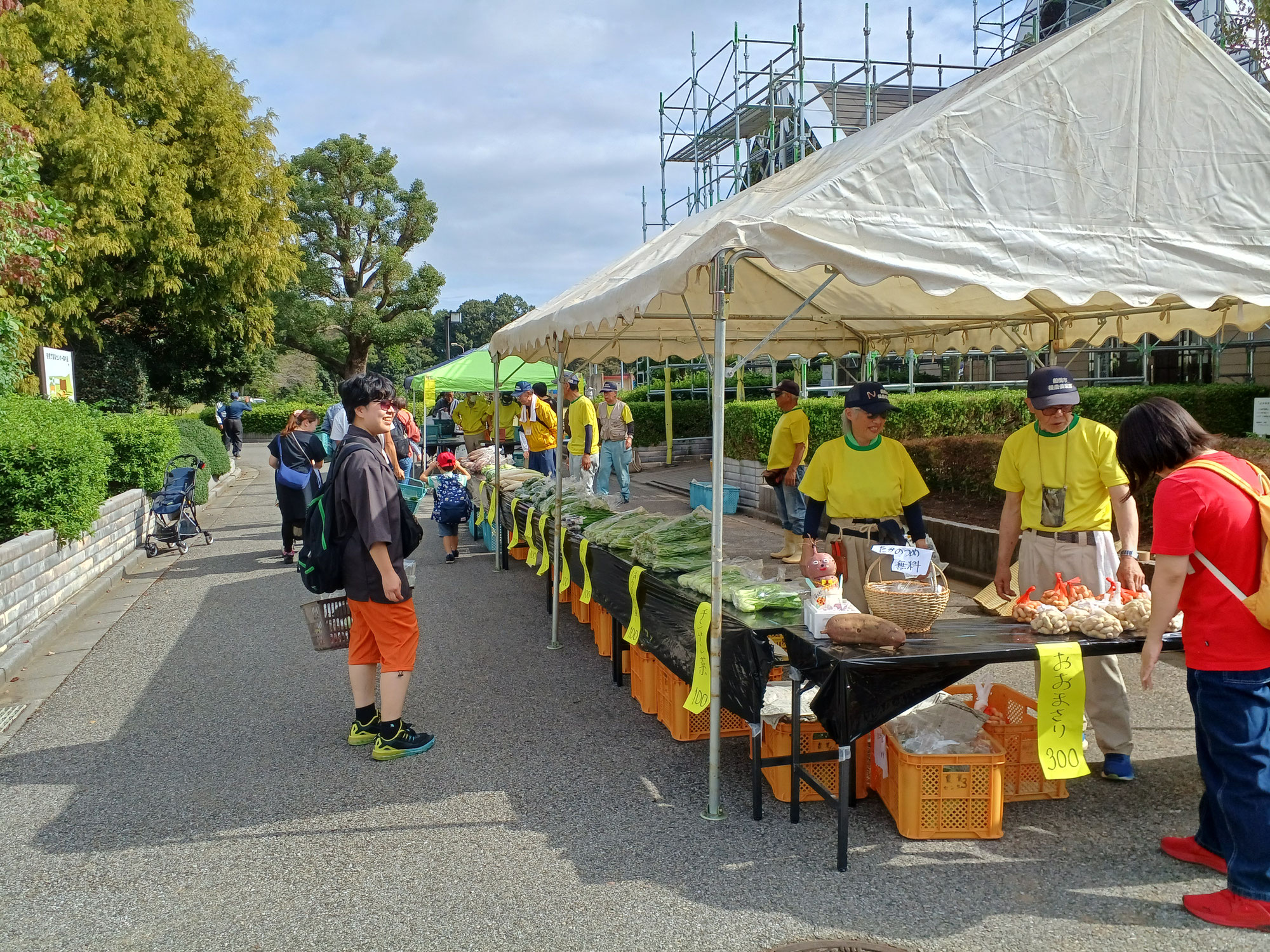 船橋市援農クラブの秋野菜販売