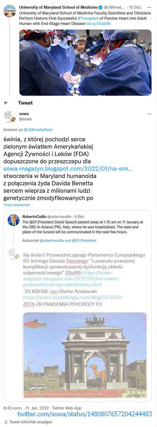 3D KSENIE von Stefan Kosiewski Na śmierć Przewodniczącego Parlamentu Europejskiego 65-letniego Davida Sassolego