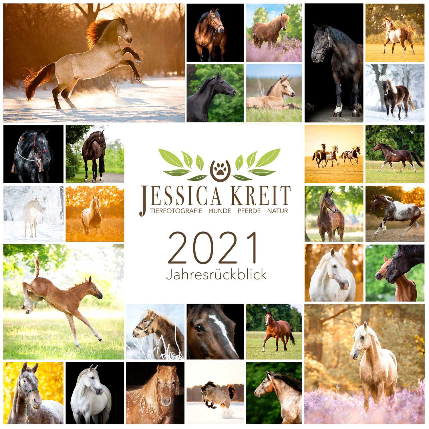 Meine Pferde–Fotojahr 2021!
