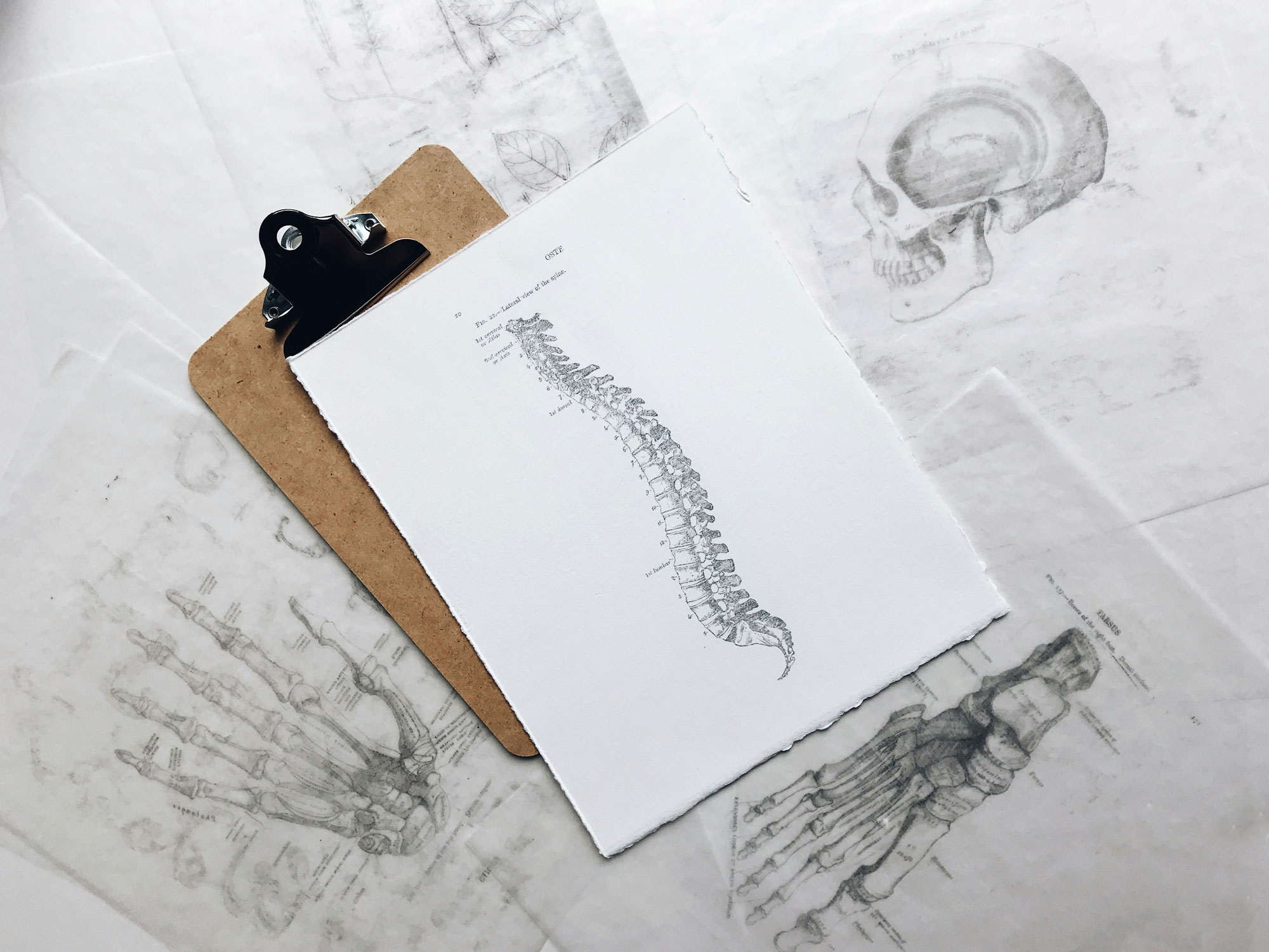 Unterer Rücken: Wo der Schmerz wirklich her kommt und wie Osteopathie helfen kann - von Daniel Randzio