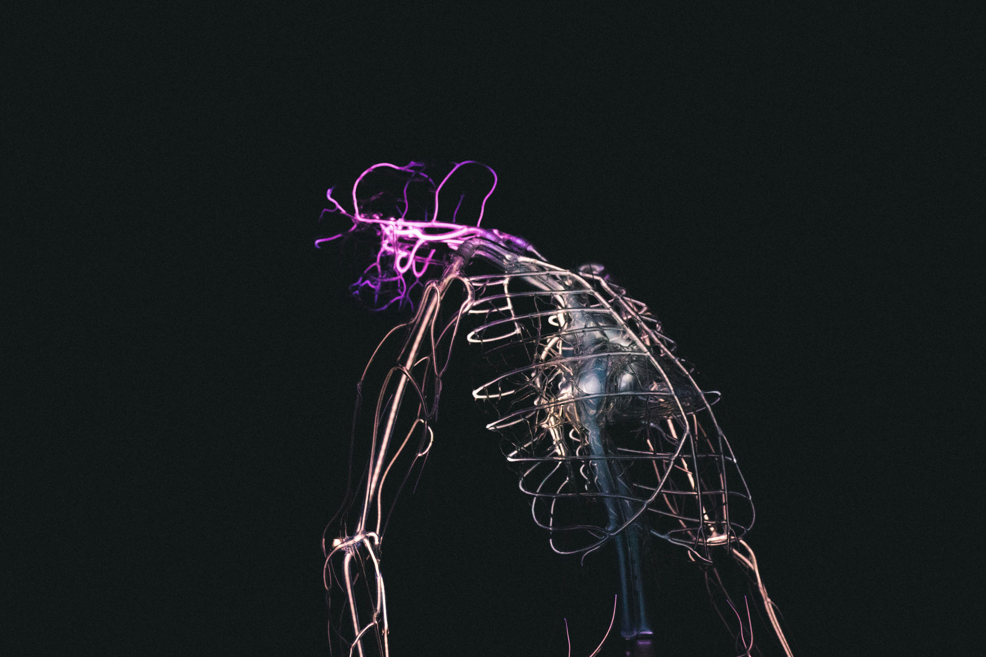 Faszien und Stress – wie Bindegewebe und Nervensystem zusammenarbeiten - von Daniel Randzio