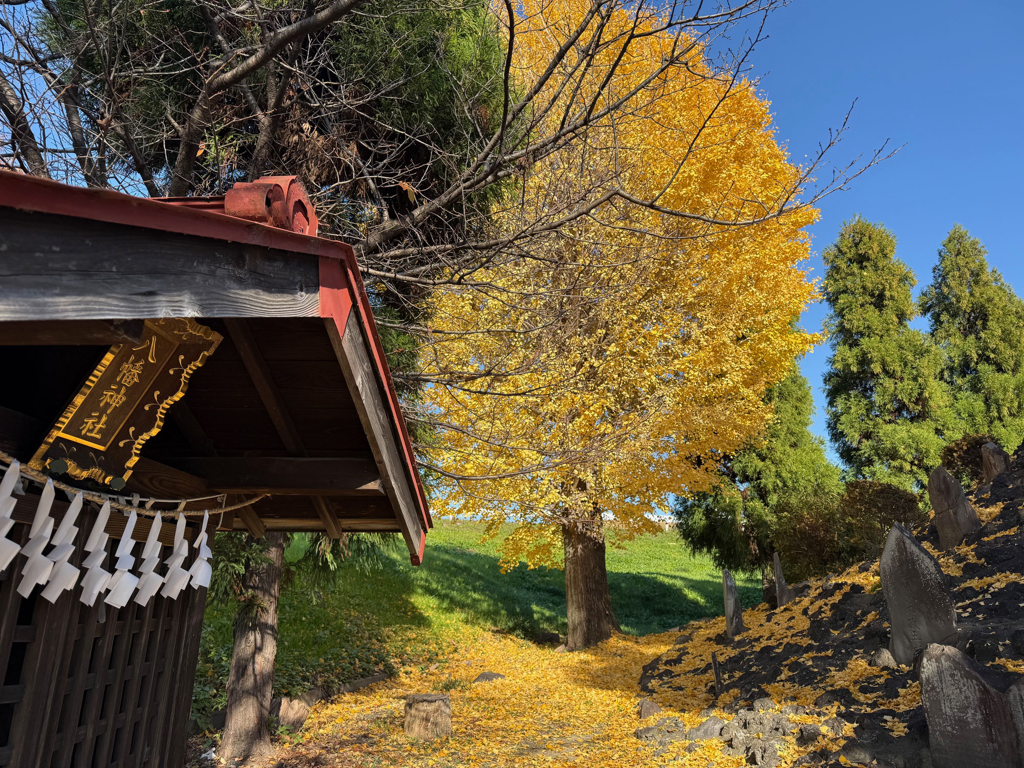 神も人も“神人和楽”で力が増す⭐